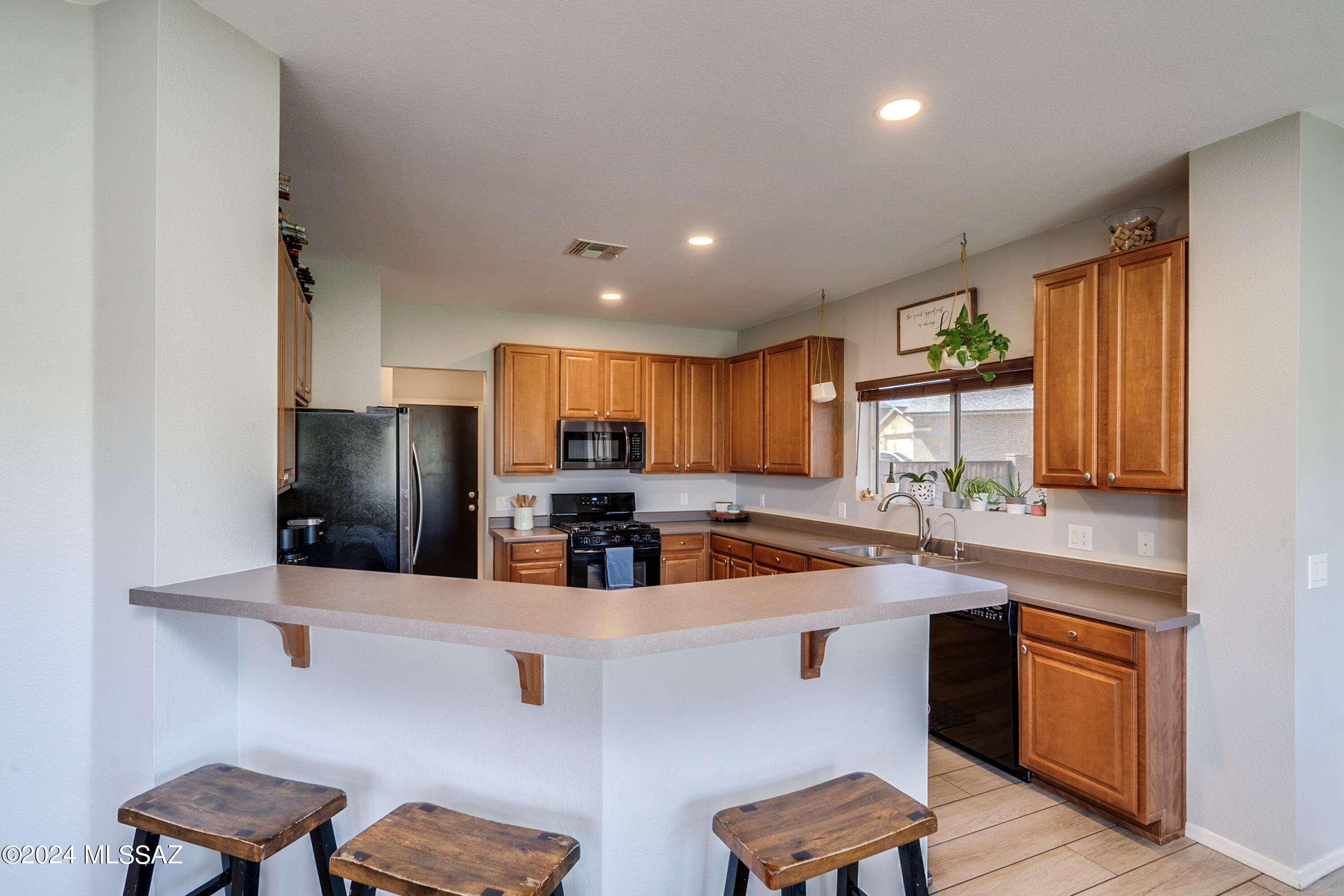 1168 W Camino Hombre Viejo