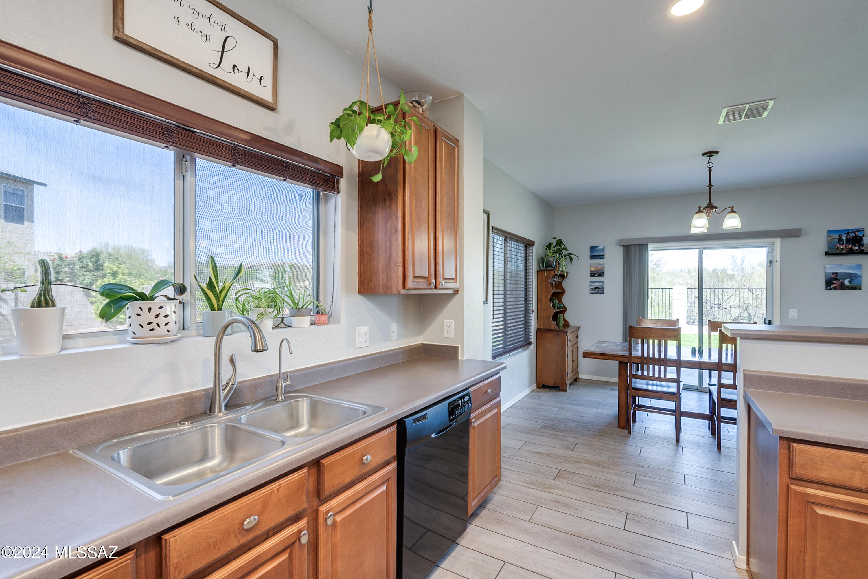1168 W Camino Hombre Viejo