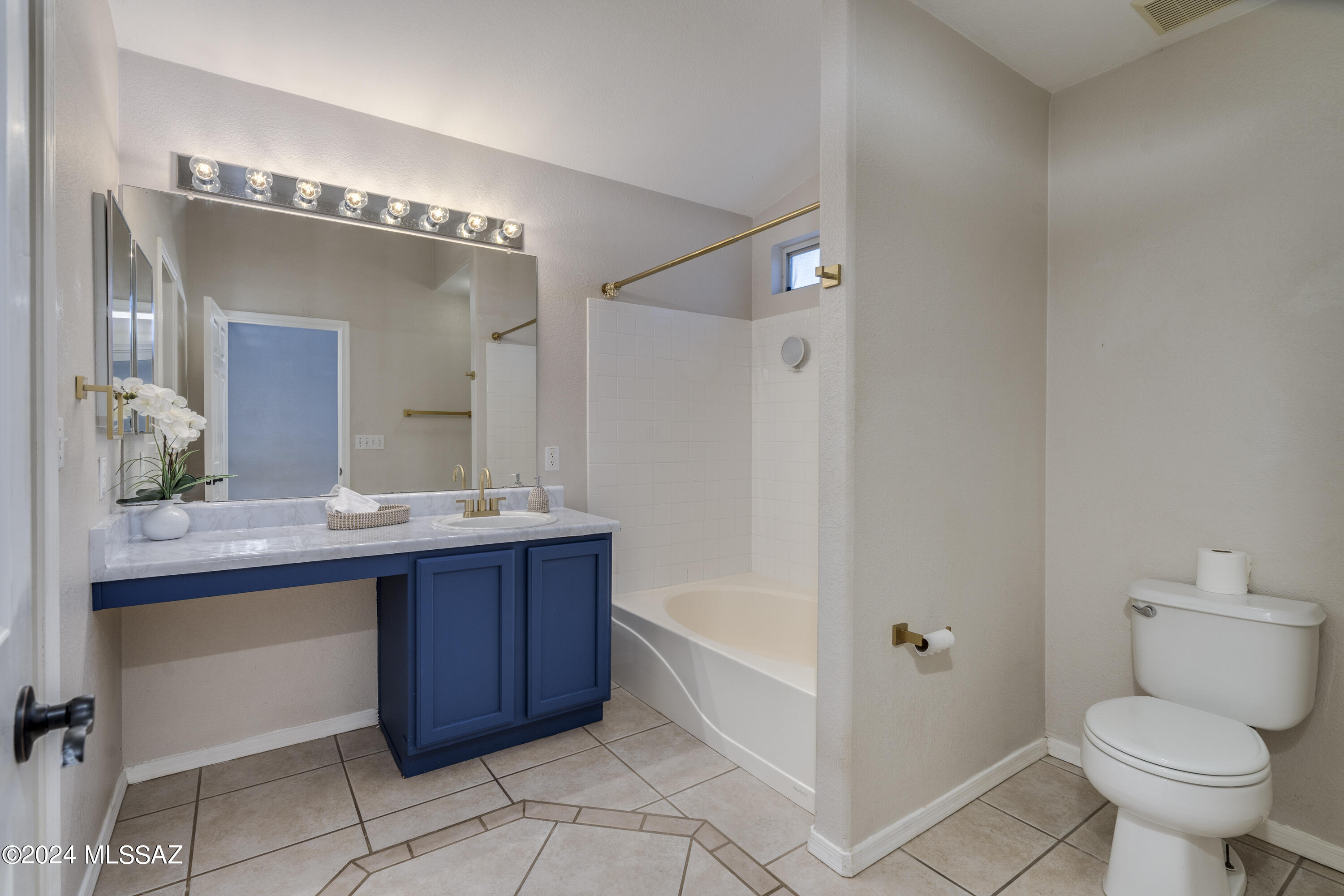 3313 W Corte Albor
