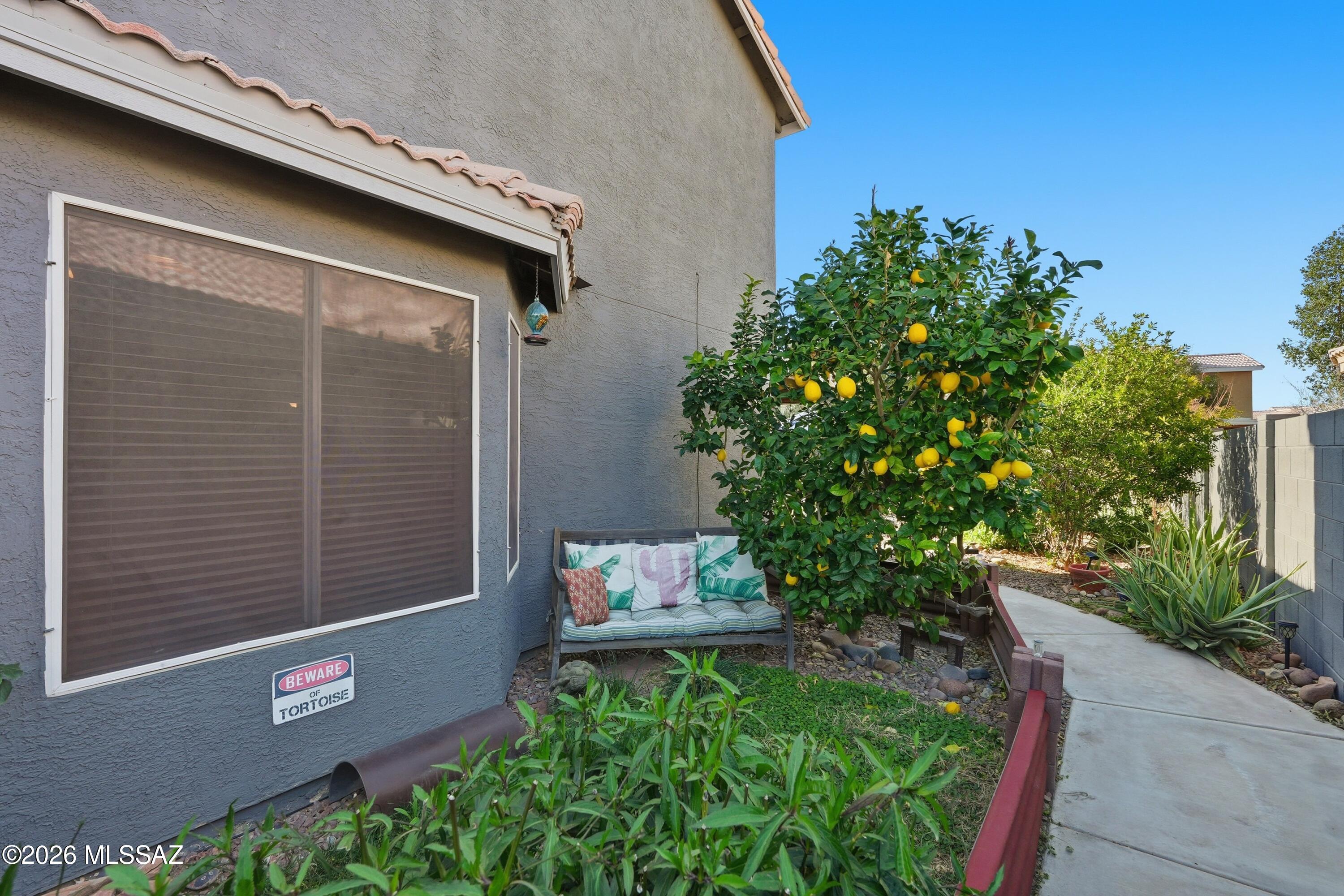 6734 W Nueva Vista Drive