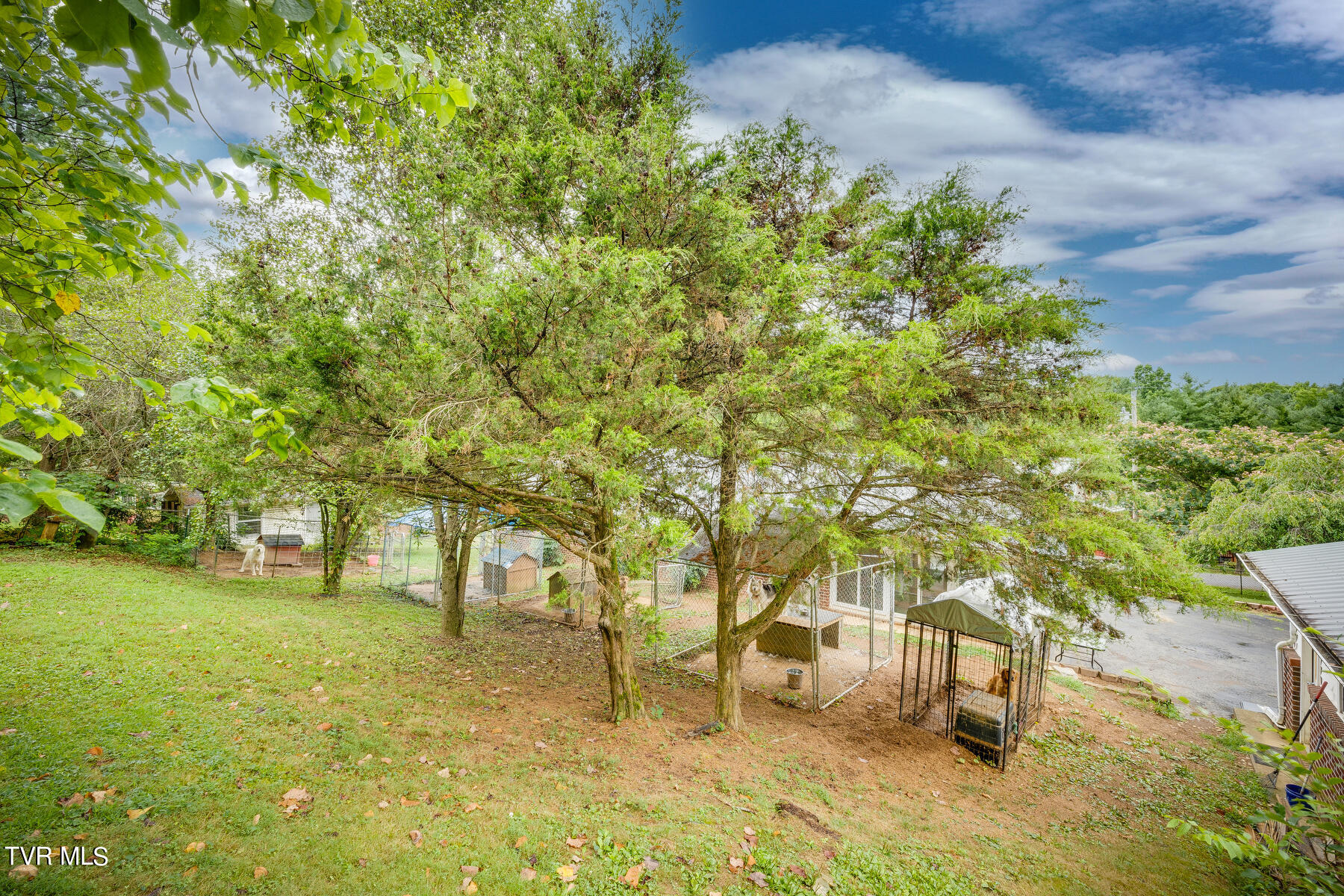 156 Carroll Drive