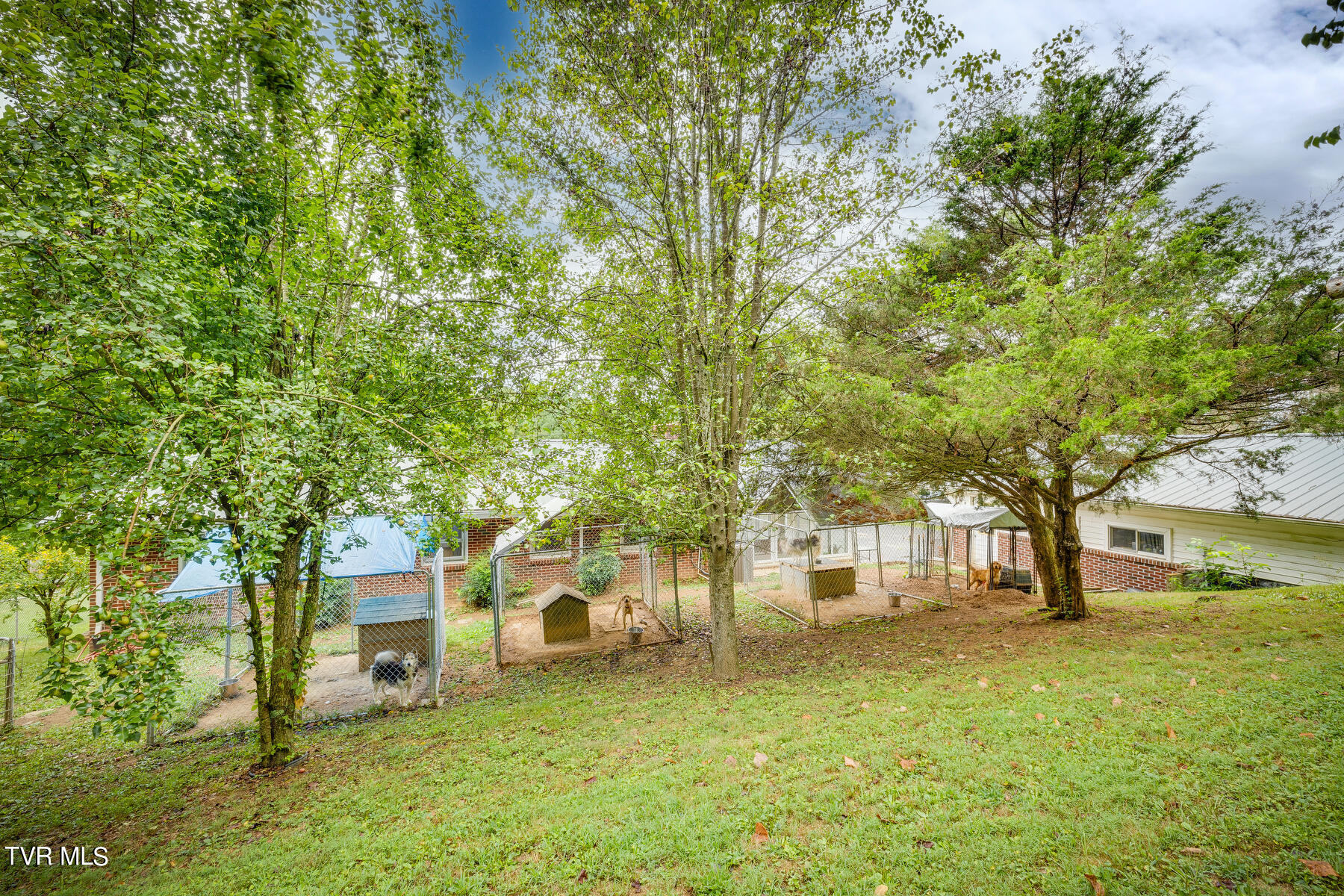 156 Carroll Drive