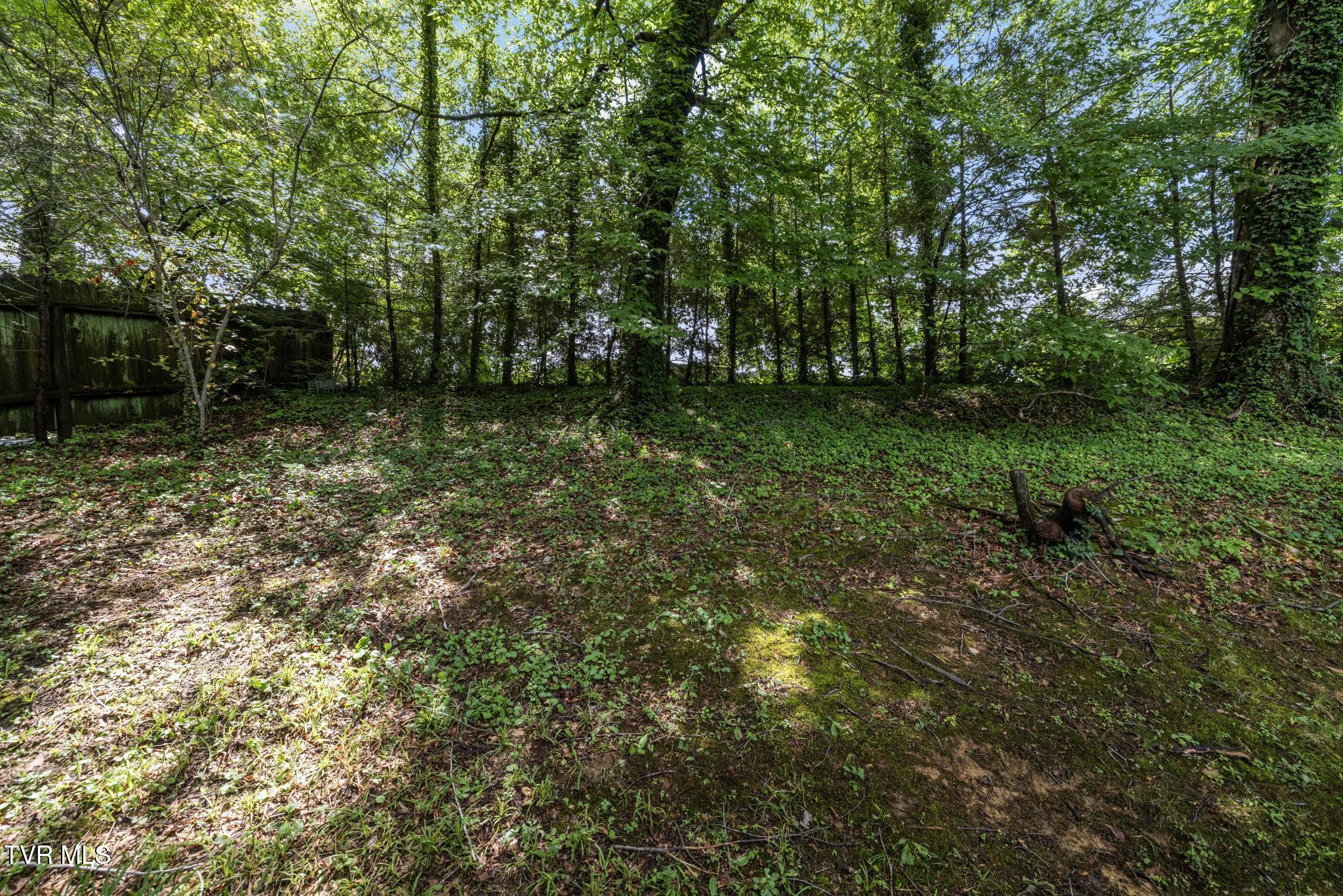 1813 Brook Hollow Road