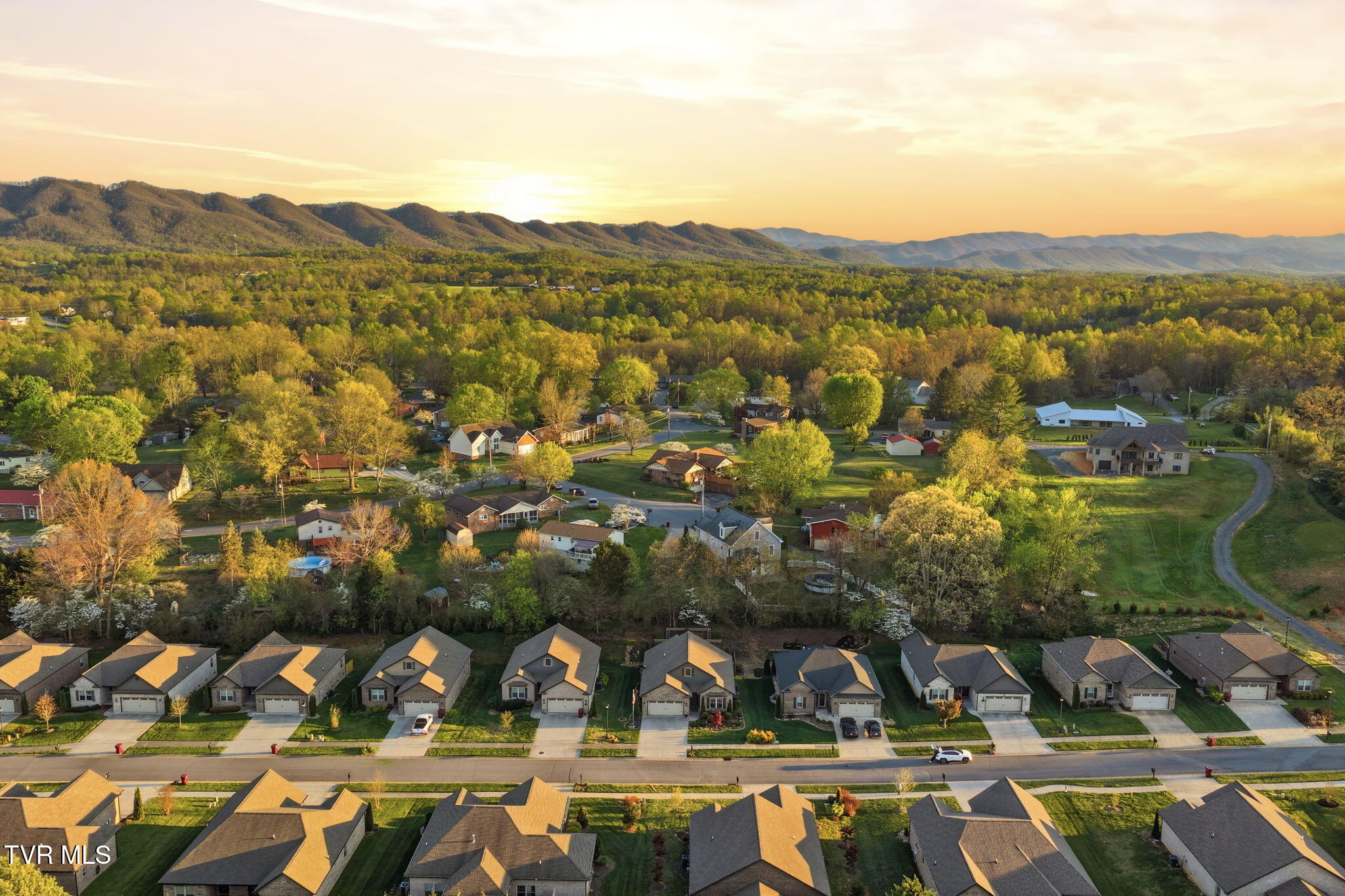 585 Nettle Tree Court