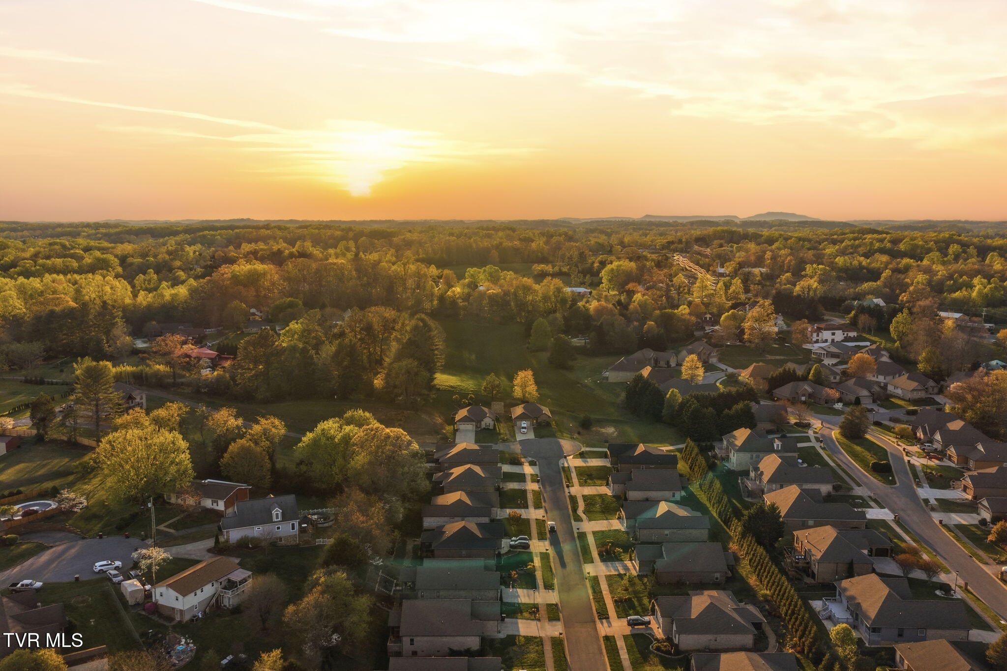 585 Nettle Tree Court