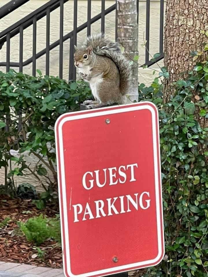 2625 NE 14th Ave 401