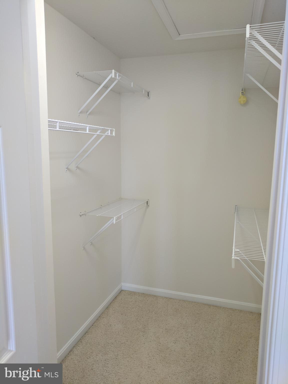 8901 SINGLELEAF CIR