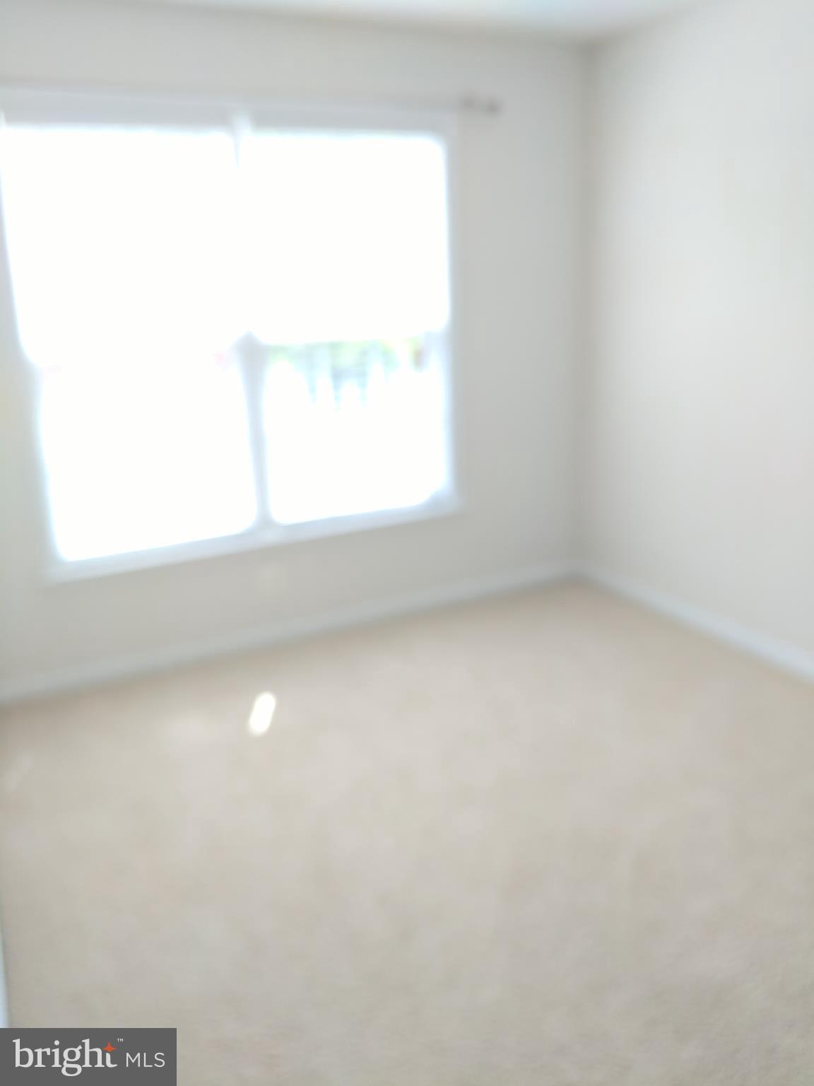 8901 SINGLELEAF CIR
