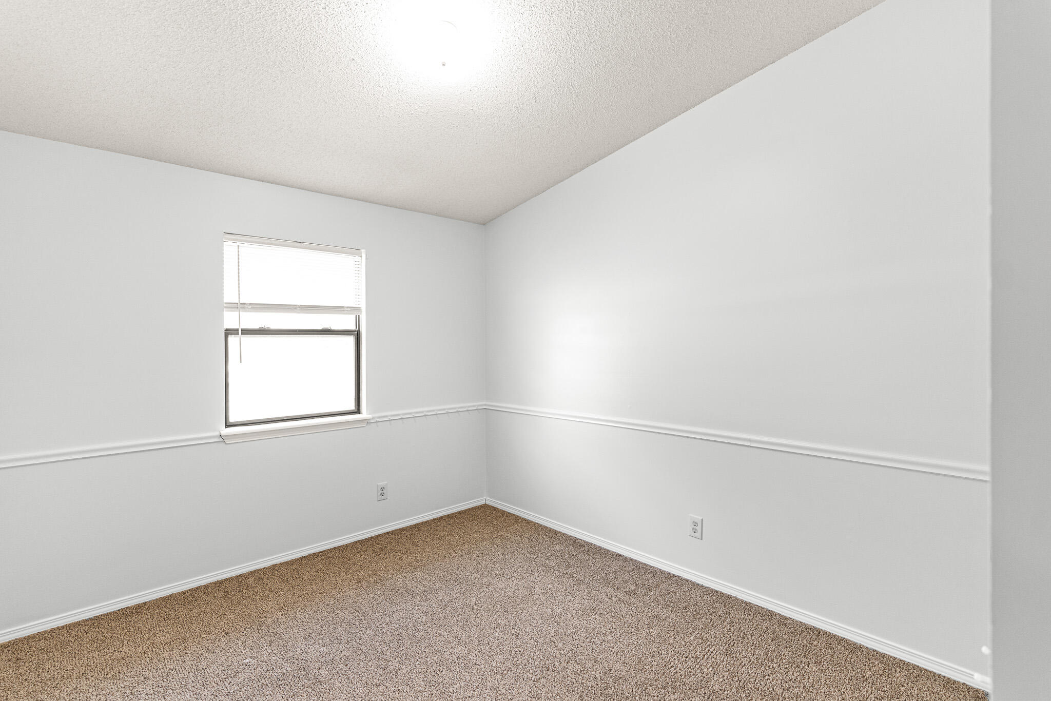 3509 SPRING CRESS DR