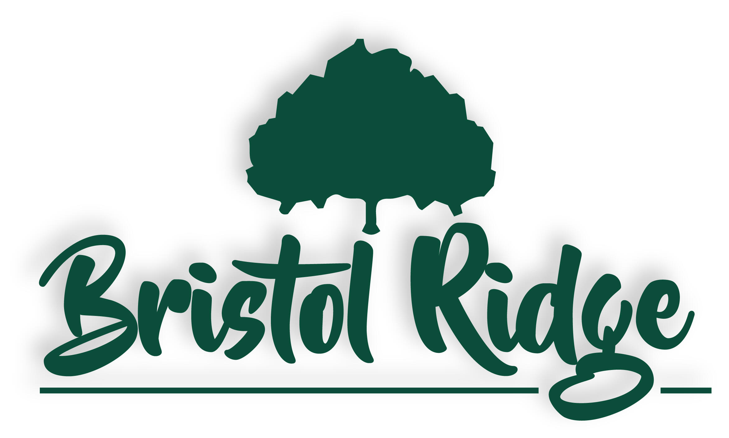 LOT 206 EASLEY CABIN CIR