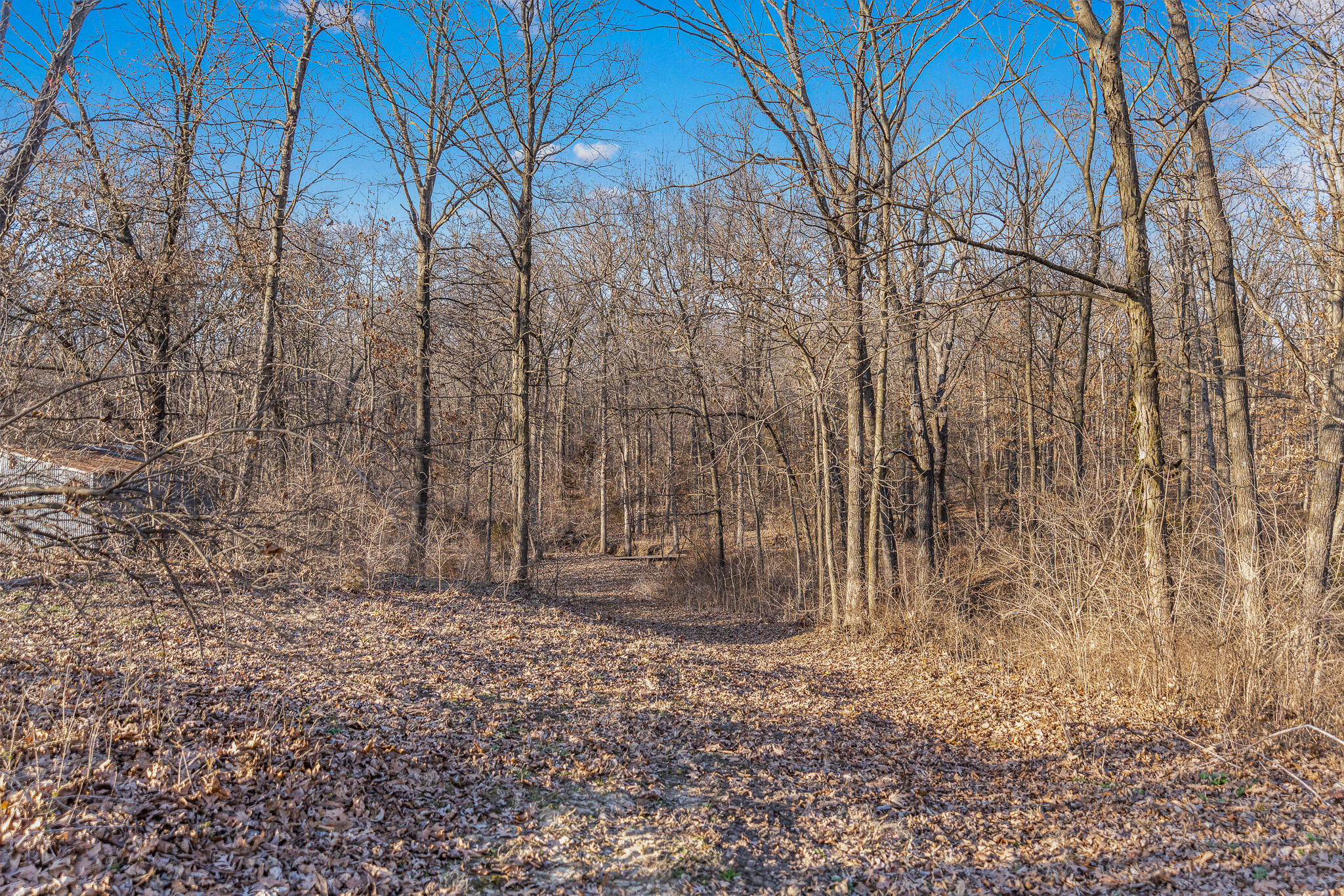 9651 E LAKE SAN-LYNN RD