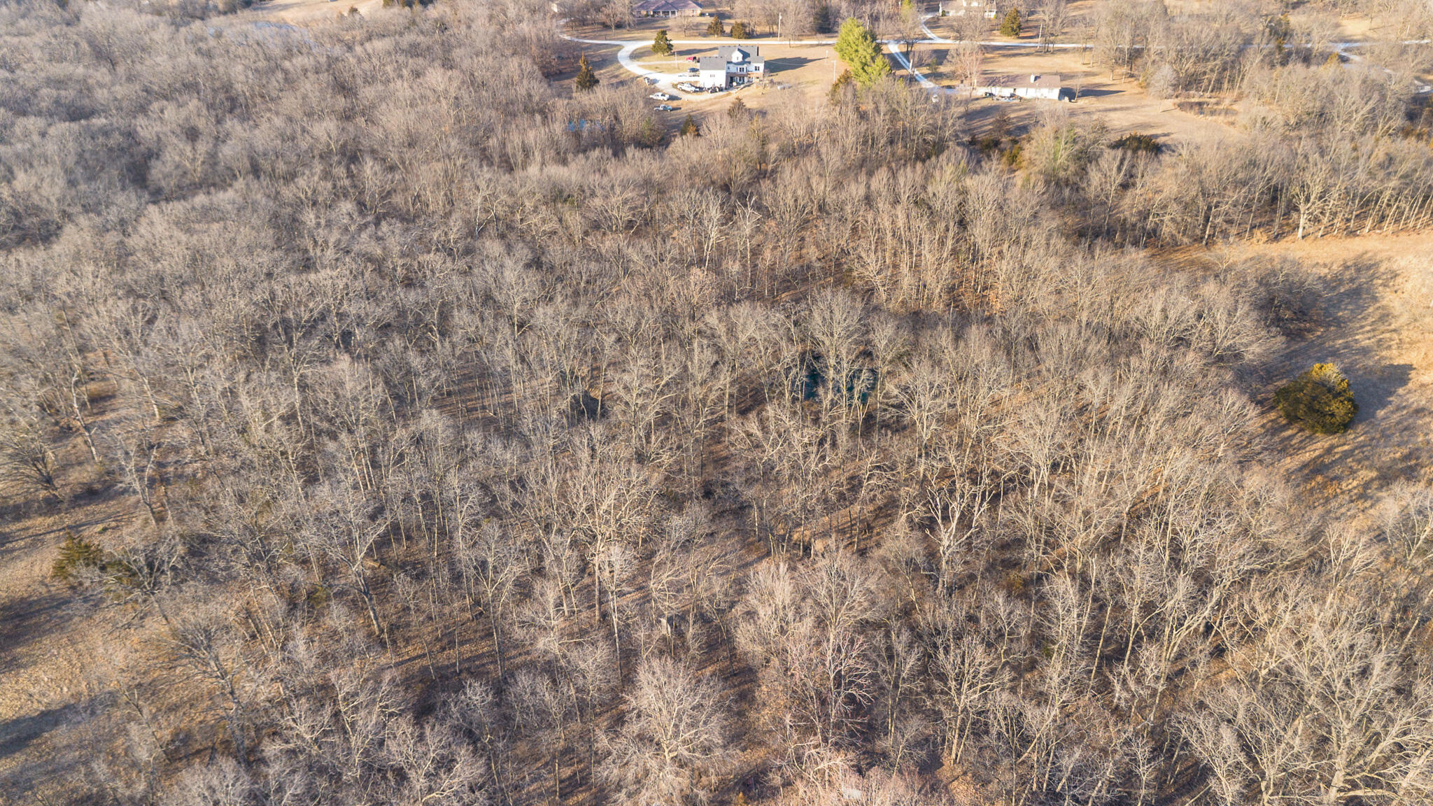 9651 E LAKE SAN-LYNN RD