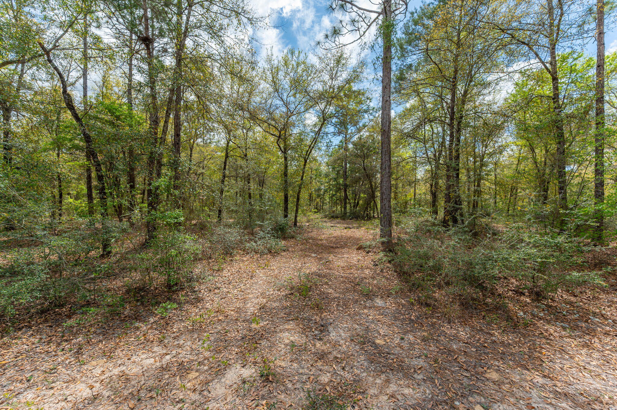 NA Womack Road Lots 1-50