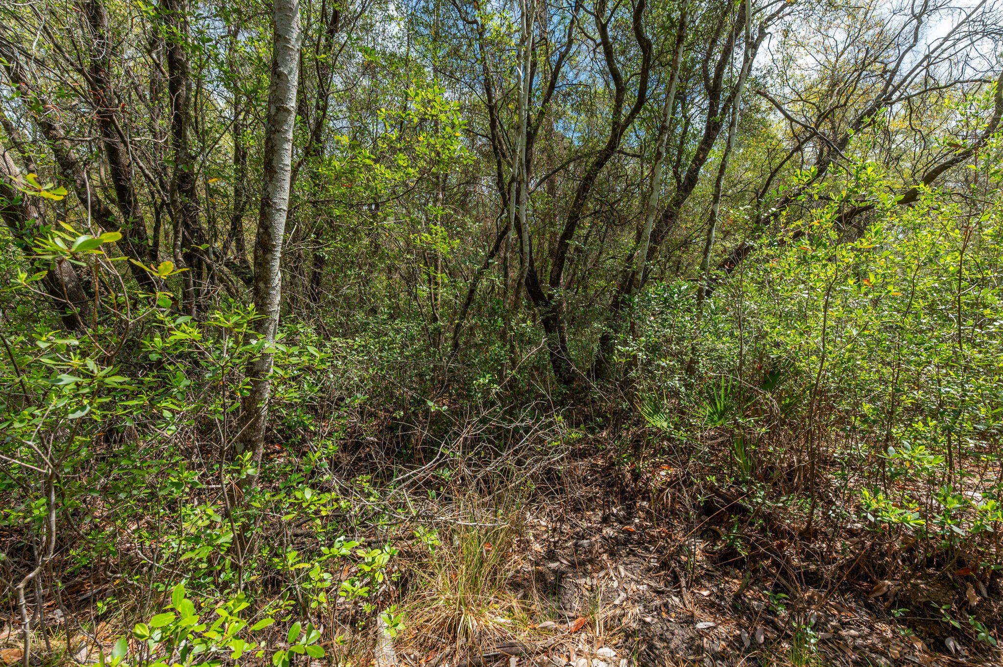 NA Womack Road Lots 1-50