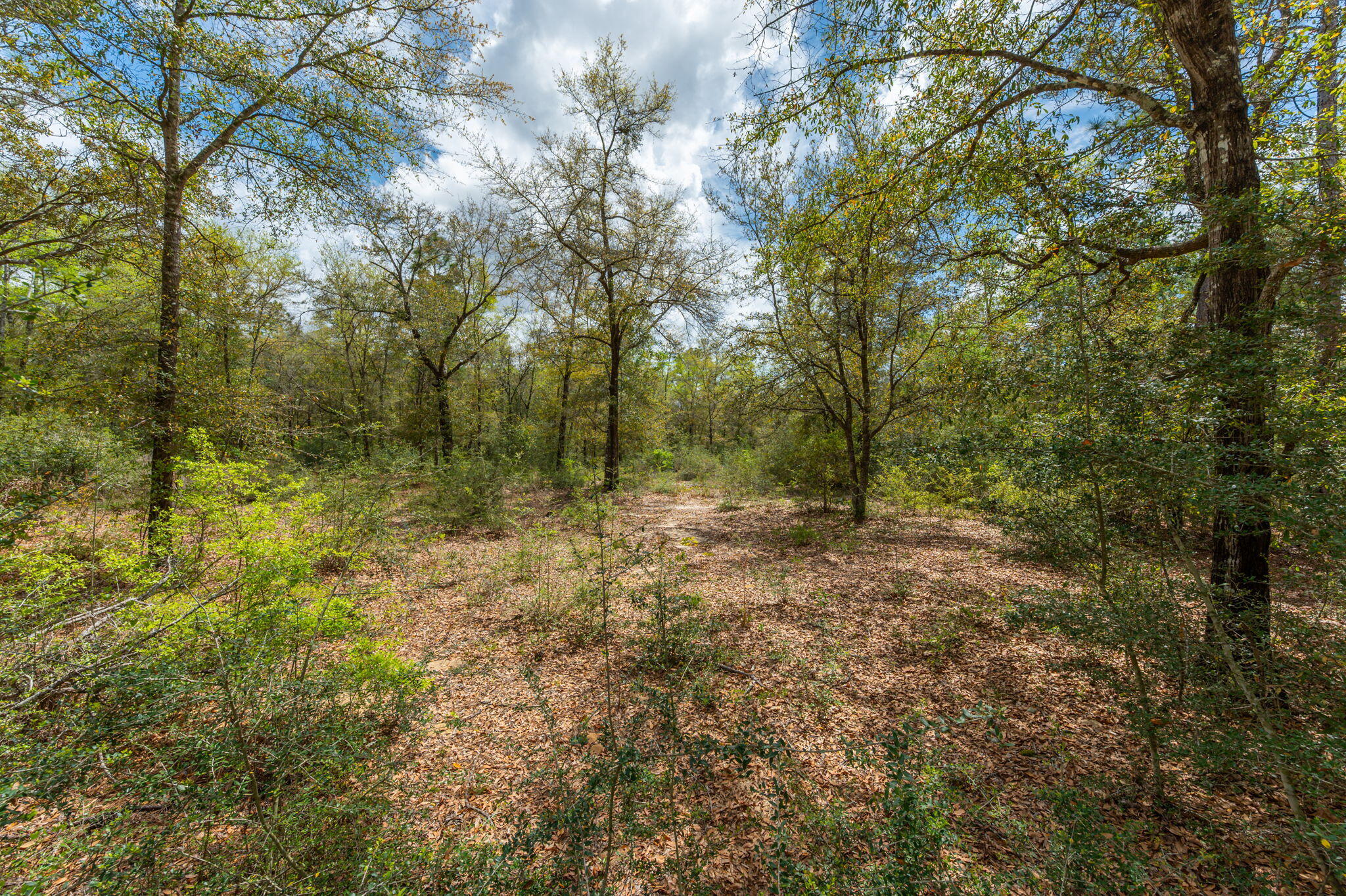 NA Womack Road Lots 1-50