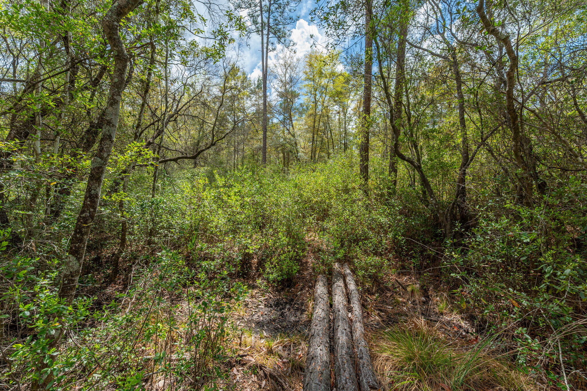 NA Womack Road Lots 1-50