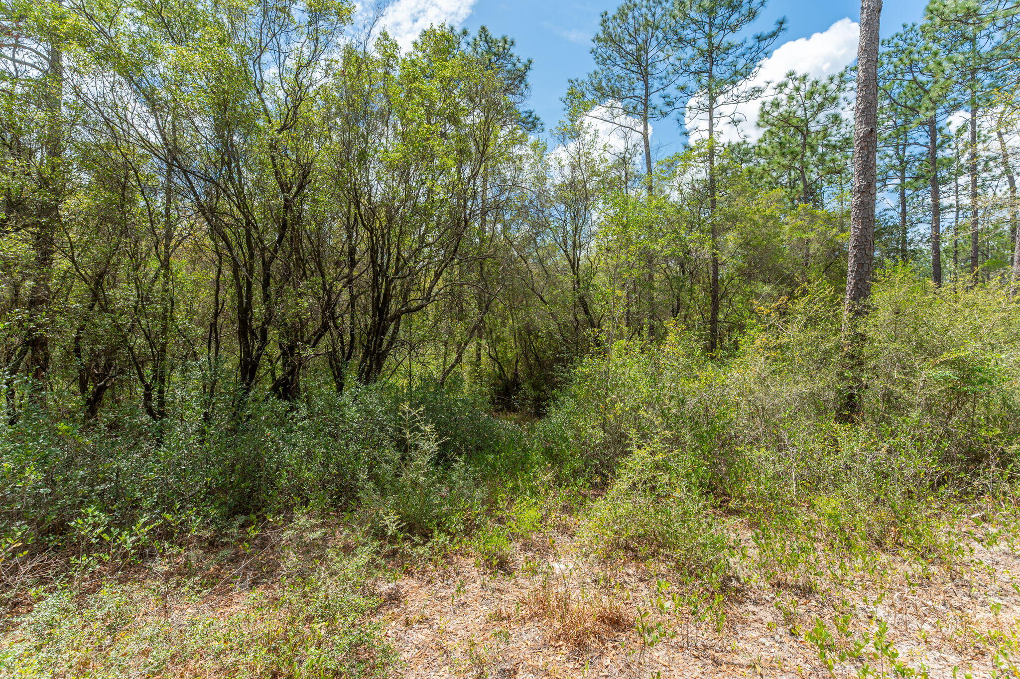 NA Womack Road Lots 1-50
