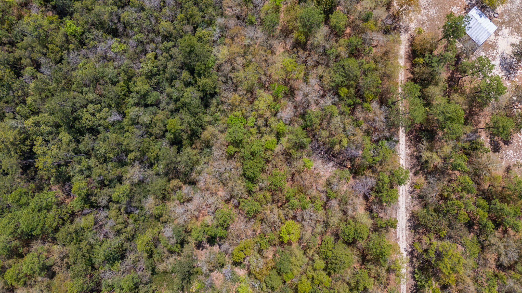 NA Womack Road Lots 1-50