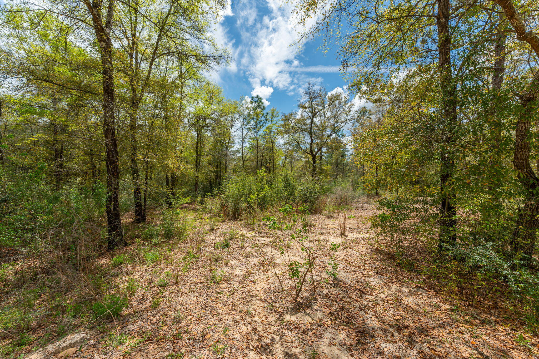 NA Womack Road Lots 1-50