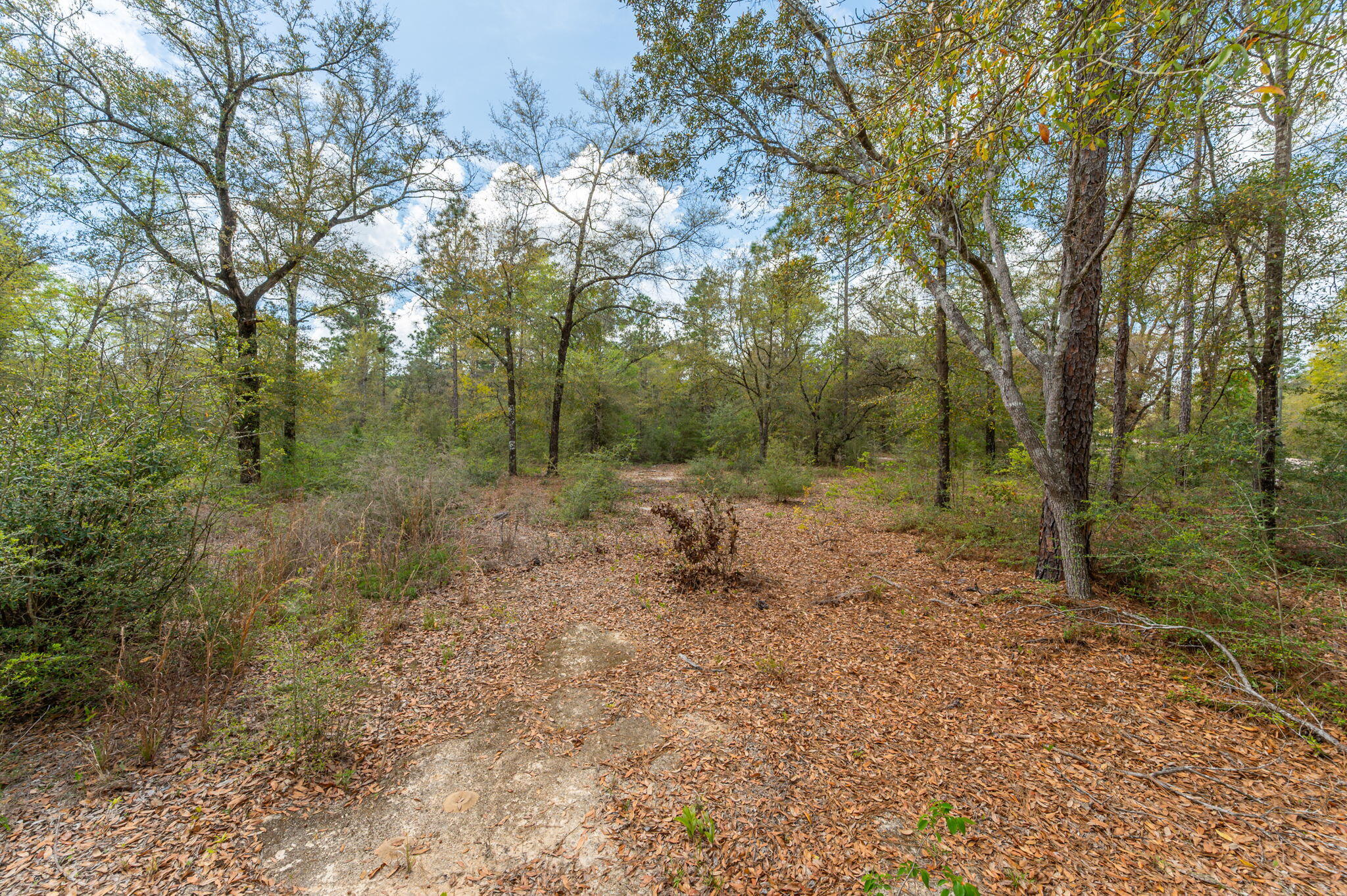 NA Womack Road Lots 1-50