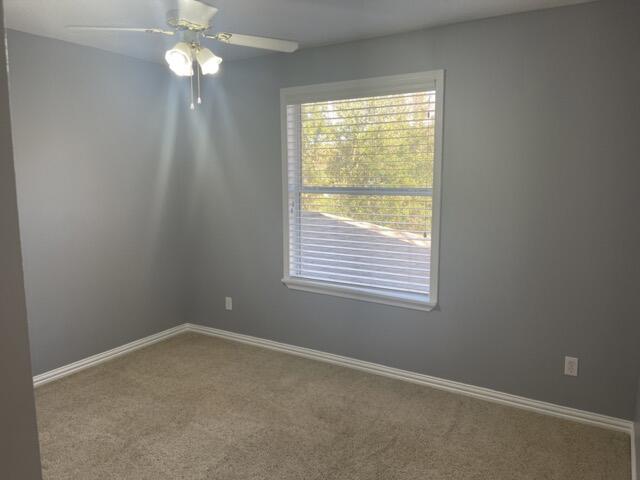 126 Dolphin Road A