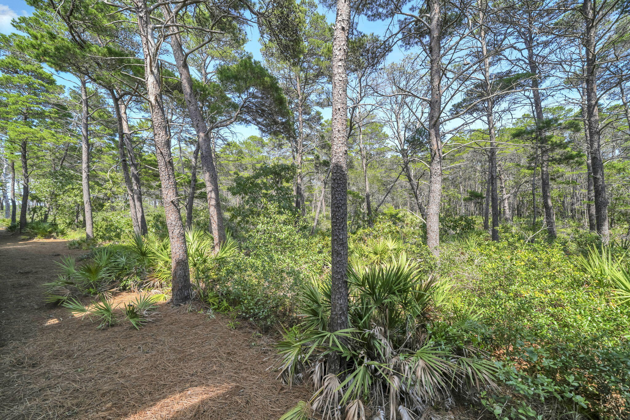80 E Milestone Drive UNIT A