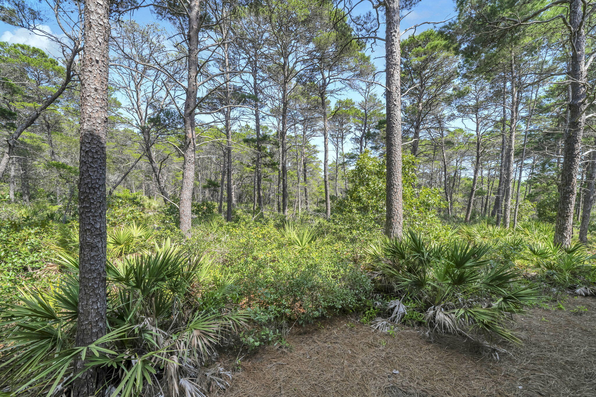80 E Milestone Drive UNIT A