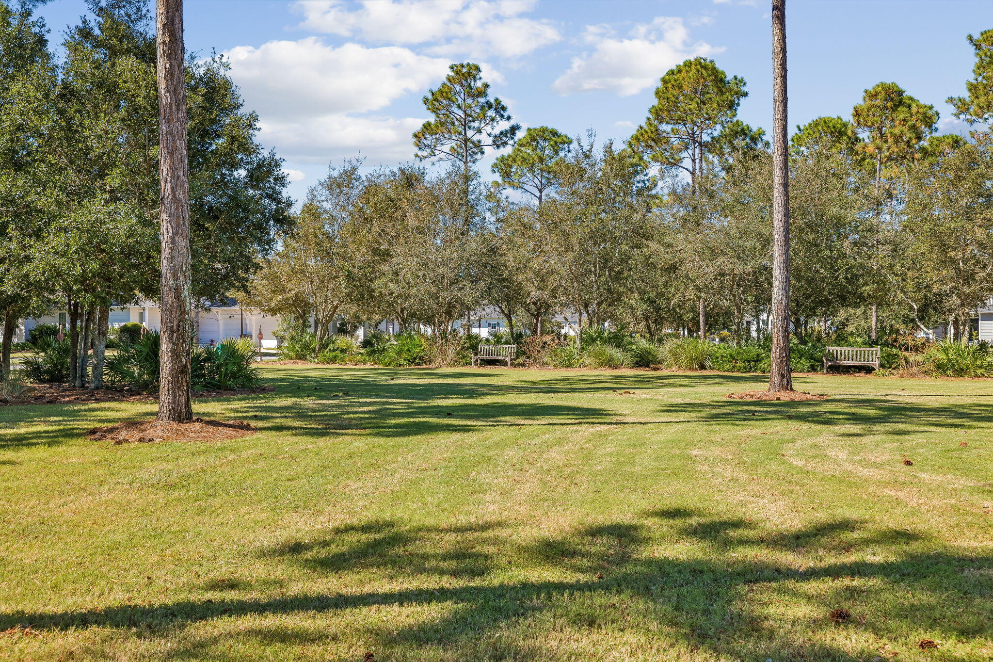 229 Sandchase Circle