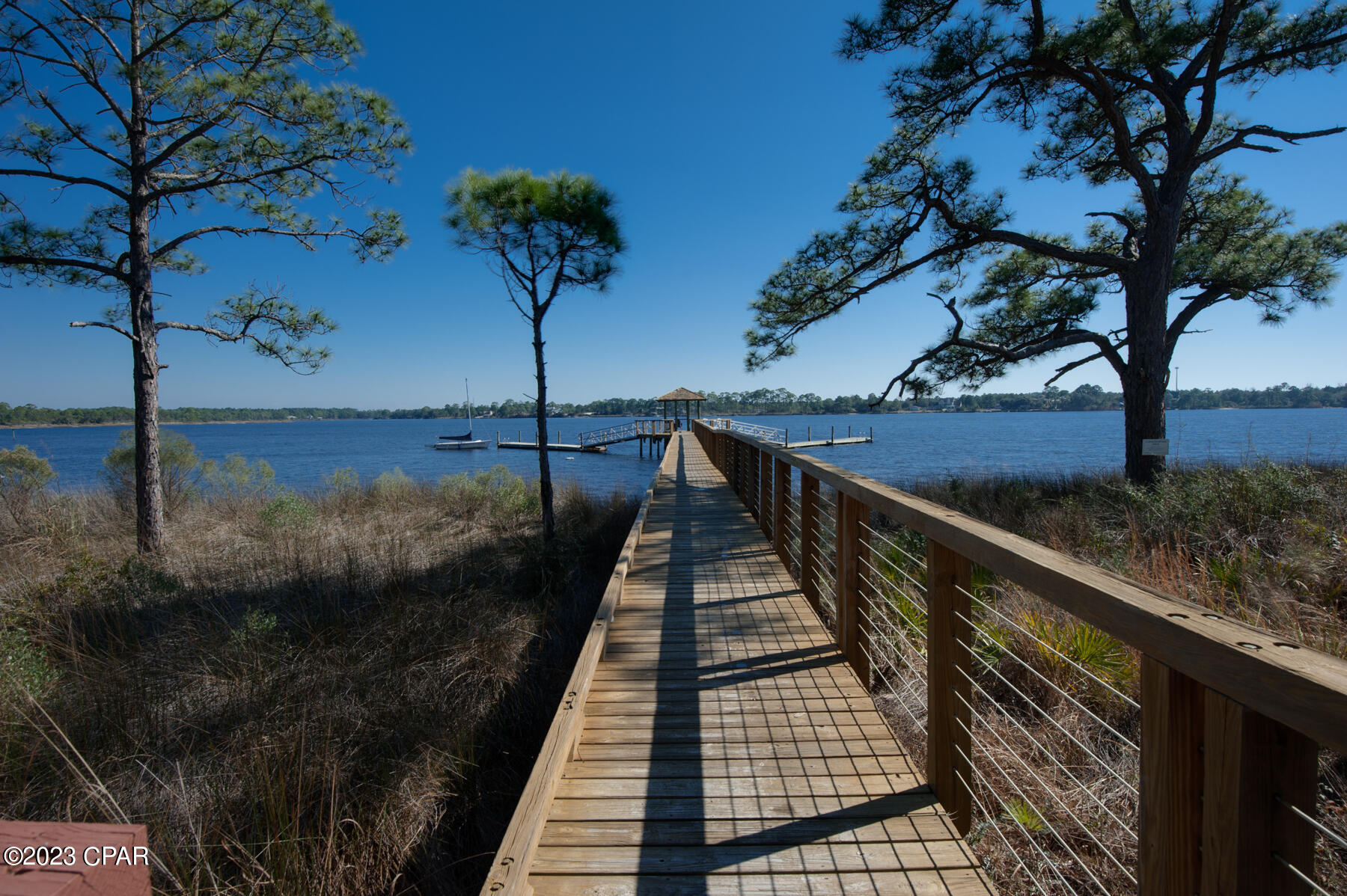 1608 Sharks Tooth Trail