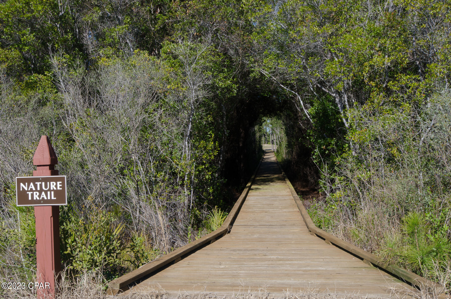 1608 Sharks Tooth Trail
