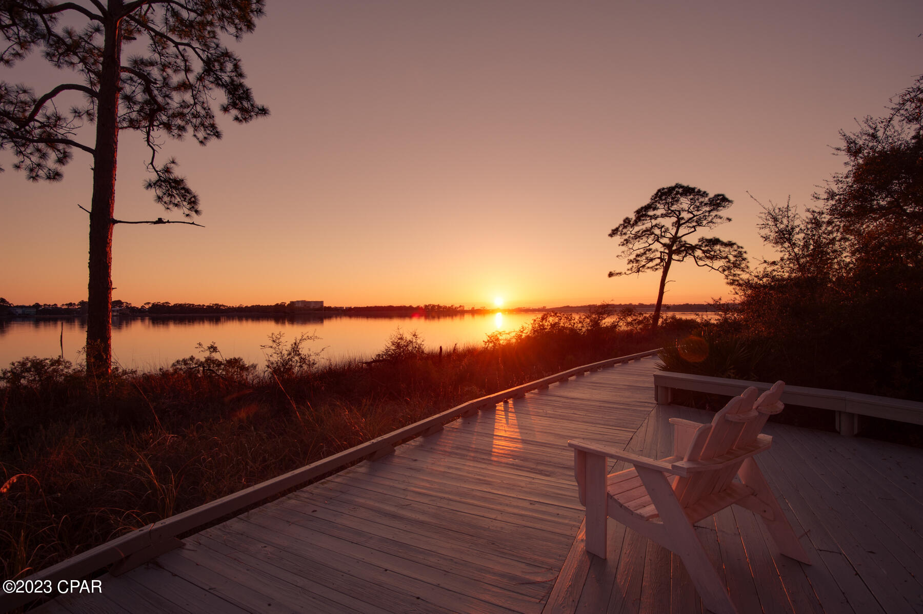 1608 Sharks Tooth Trail