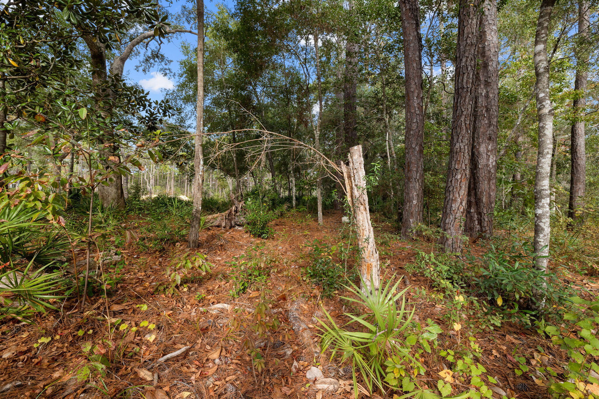 Lot 14 Cross Creek Circle