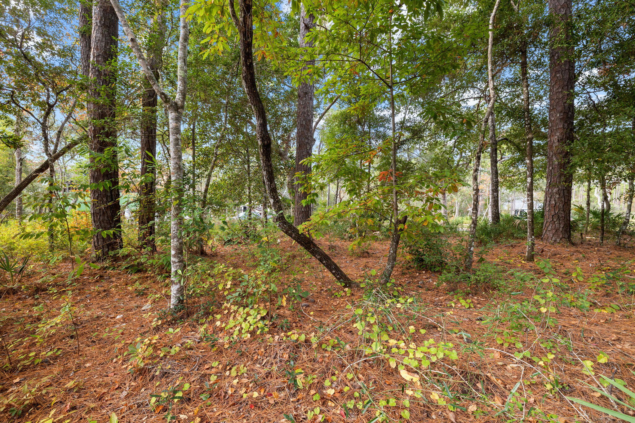 Lot 14 Cross Creek Circle