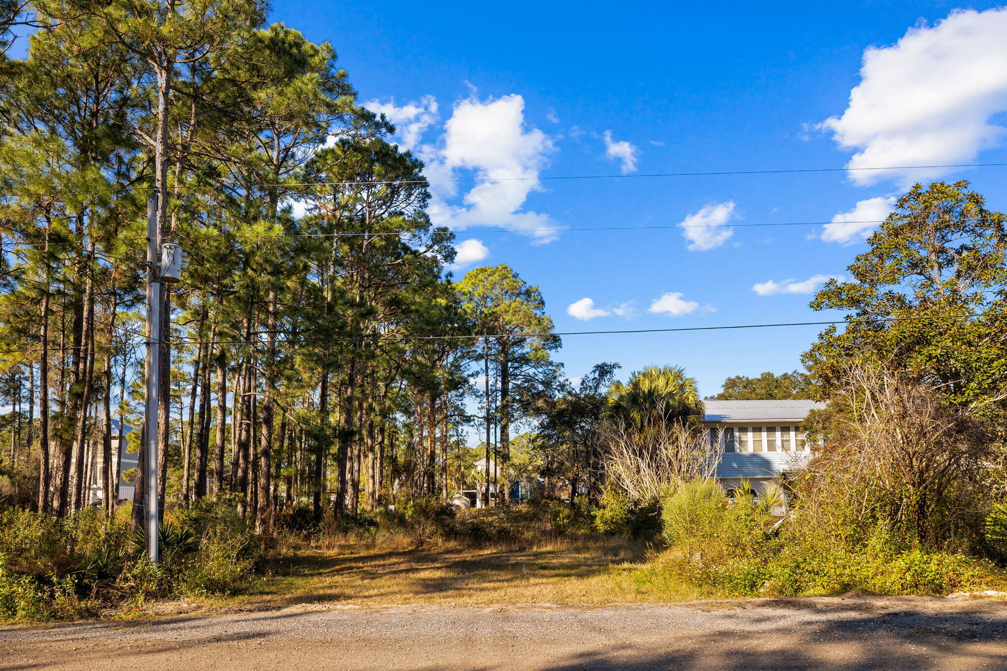 79 Shady Pines Drive