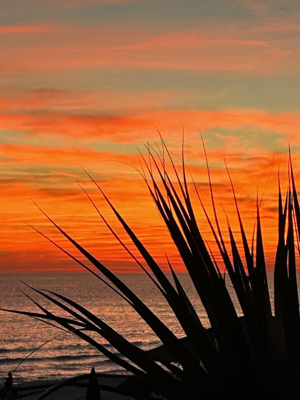 9815 W US Highway 98, 223