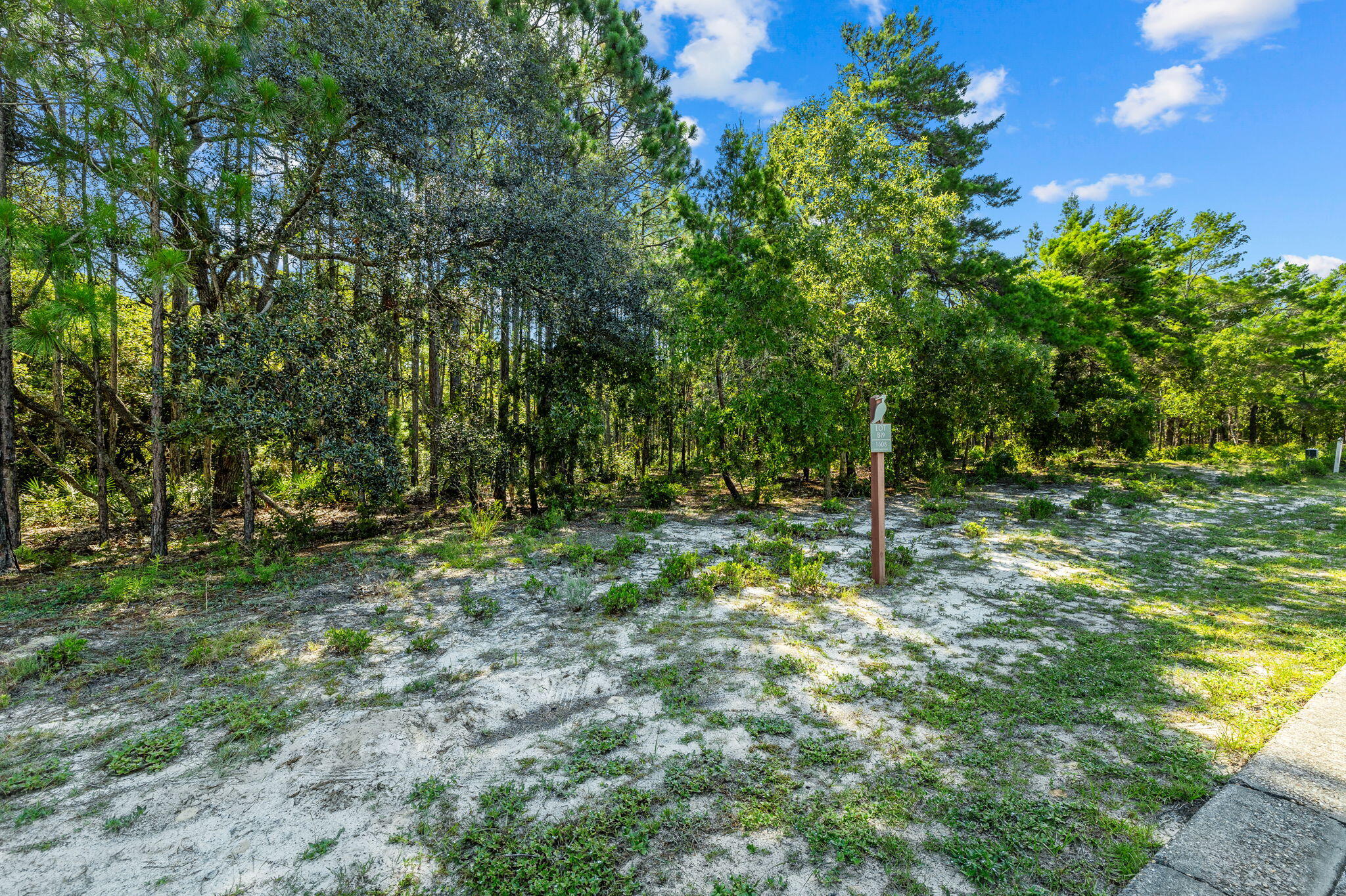 1608 Dayflower Drive