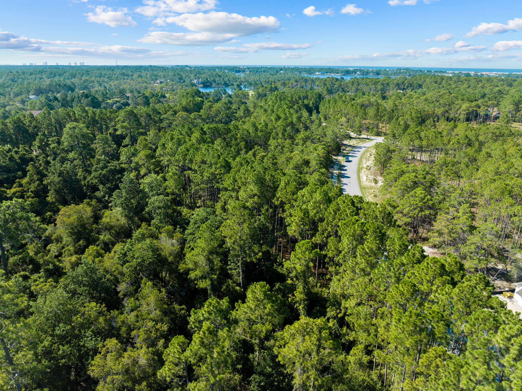 1608 Dayflower Drive