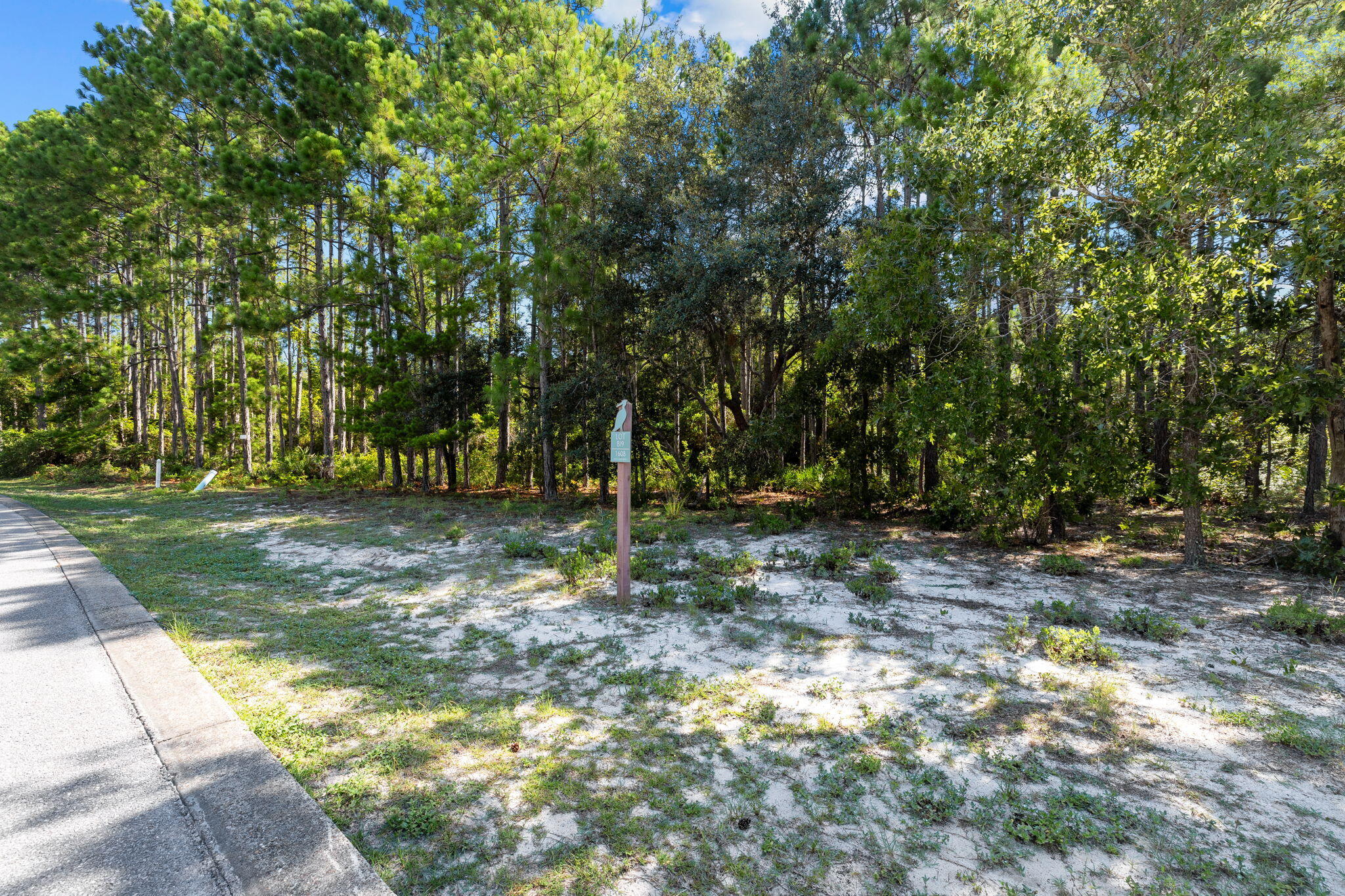 1608 Dayflower Drive