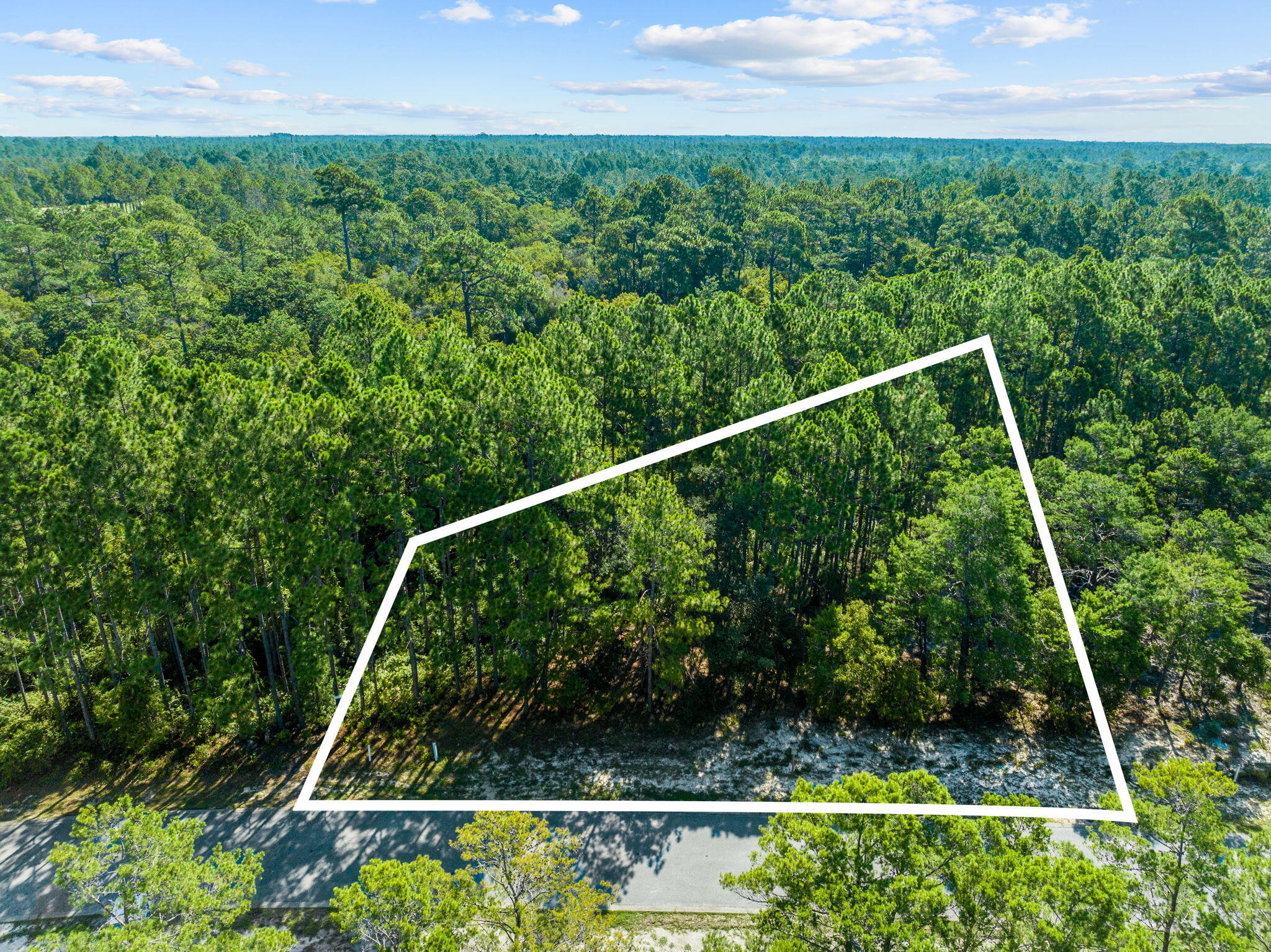 1608 Dayflower Drive