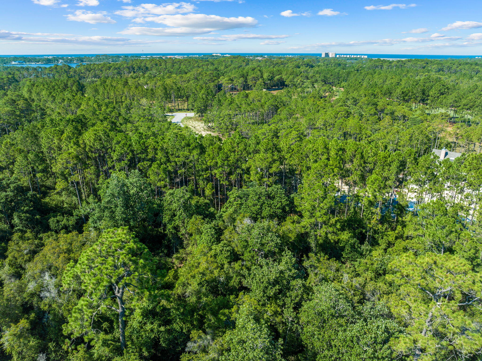 1608 Dayflower Drive