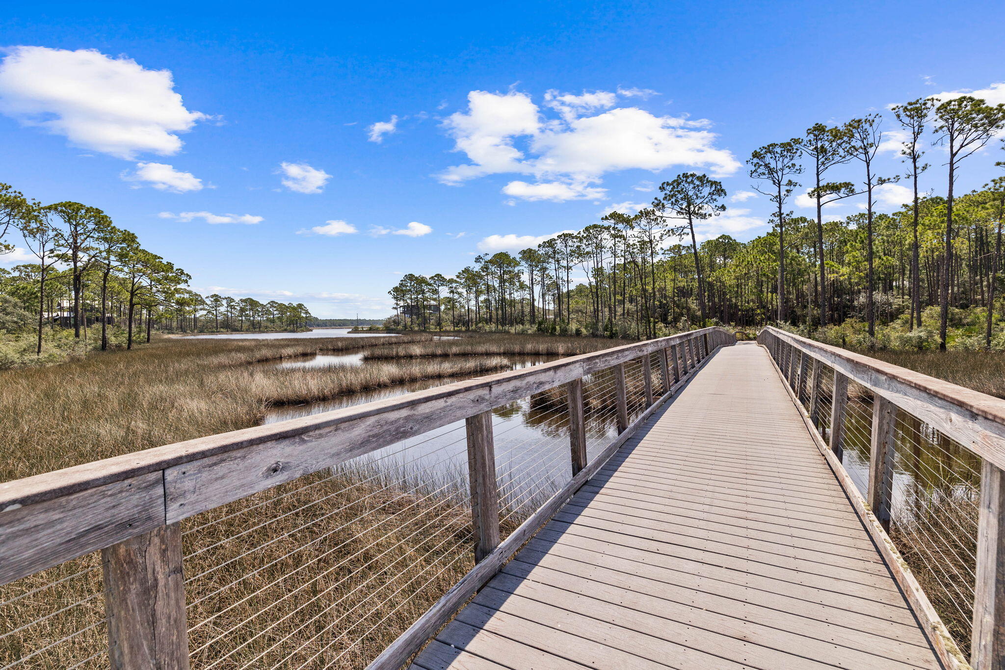 6311 Turkey Cove Lane