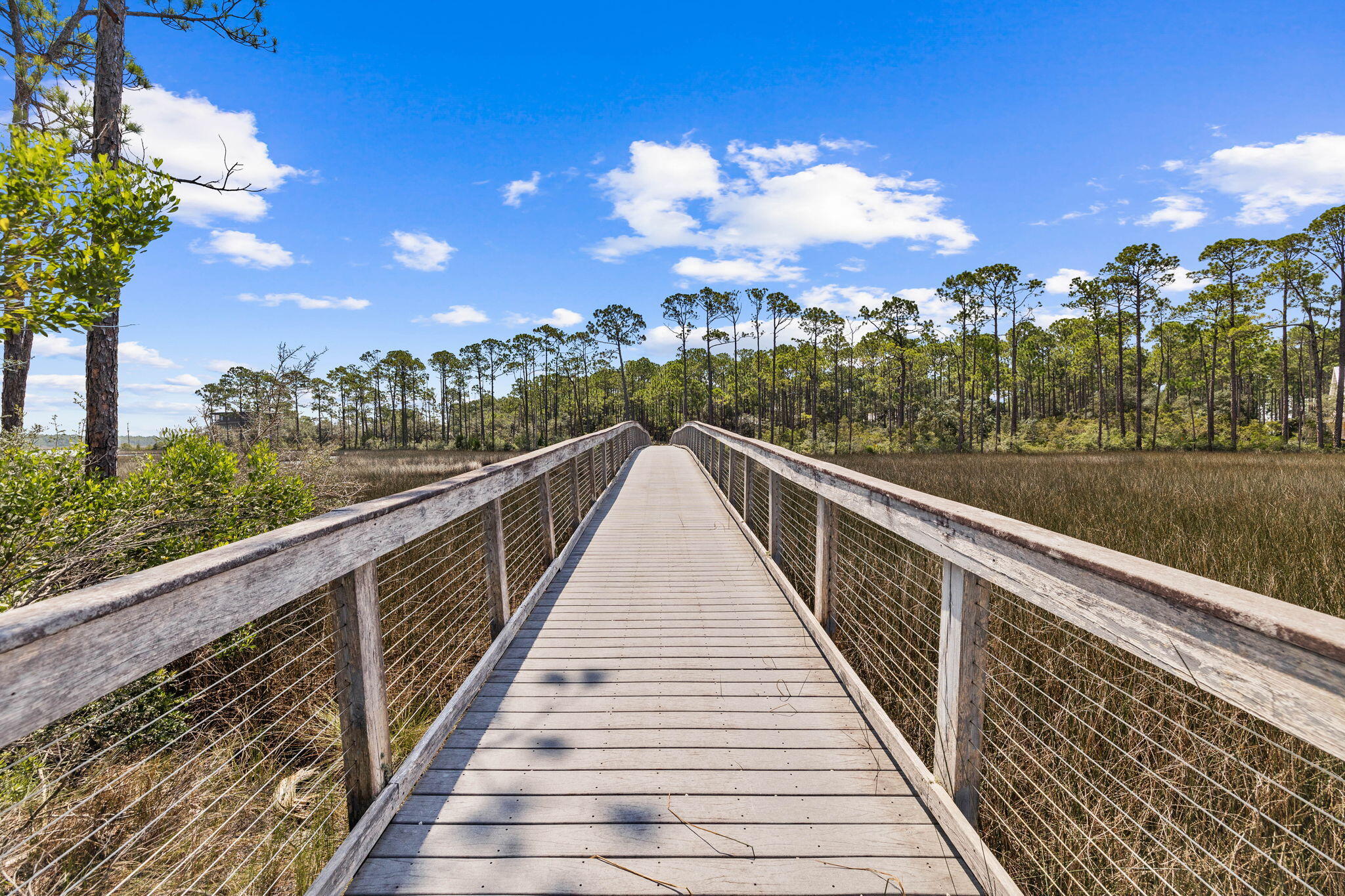 6311 Turkey Cove Lane