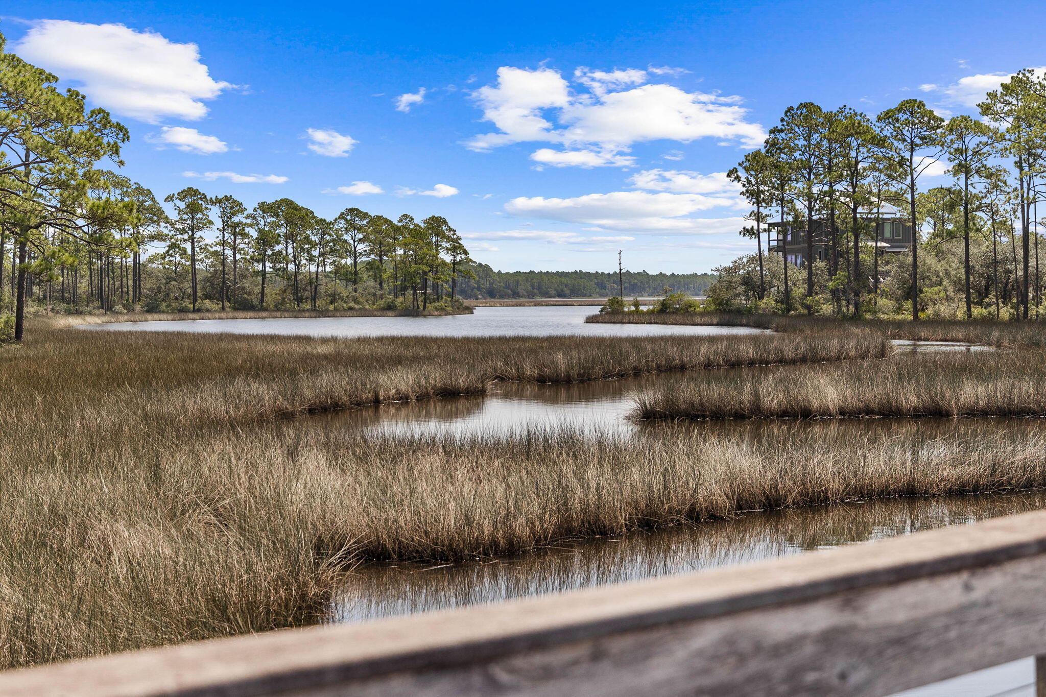 6311 Turkey Cove Lane