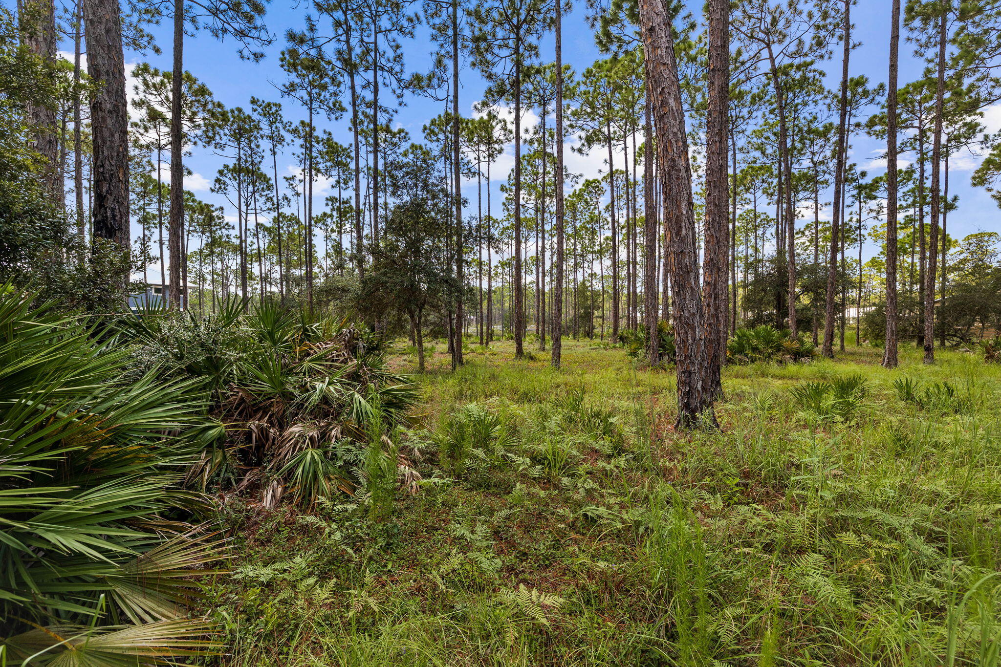 6311 Turkey Cove Lane