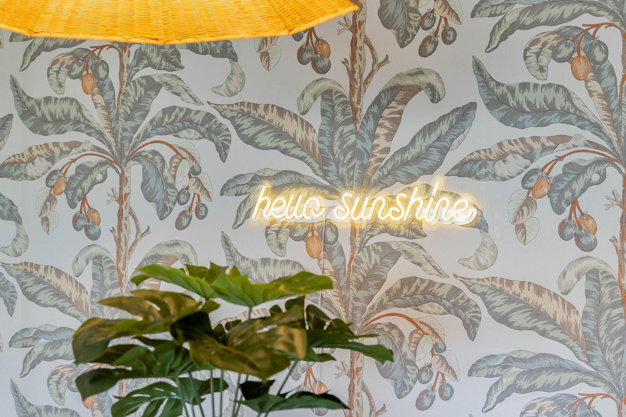 4090 Dancing Cloud, 263