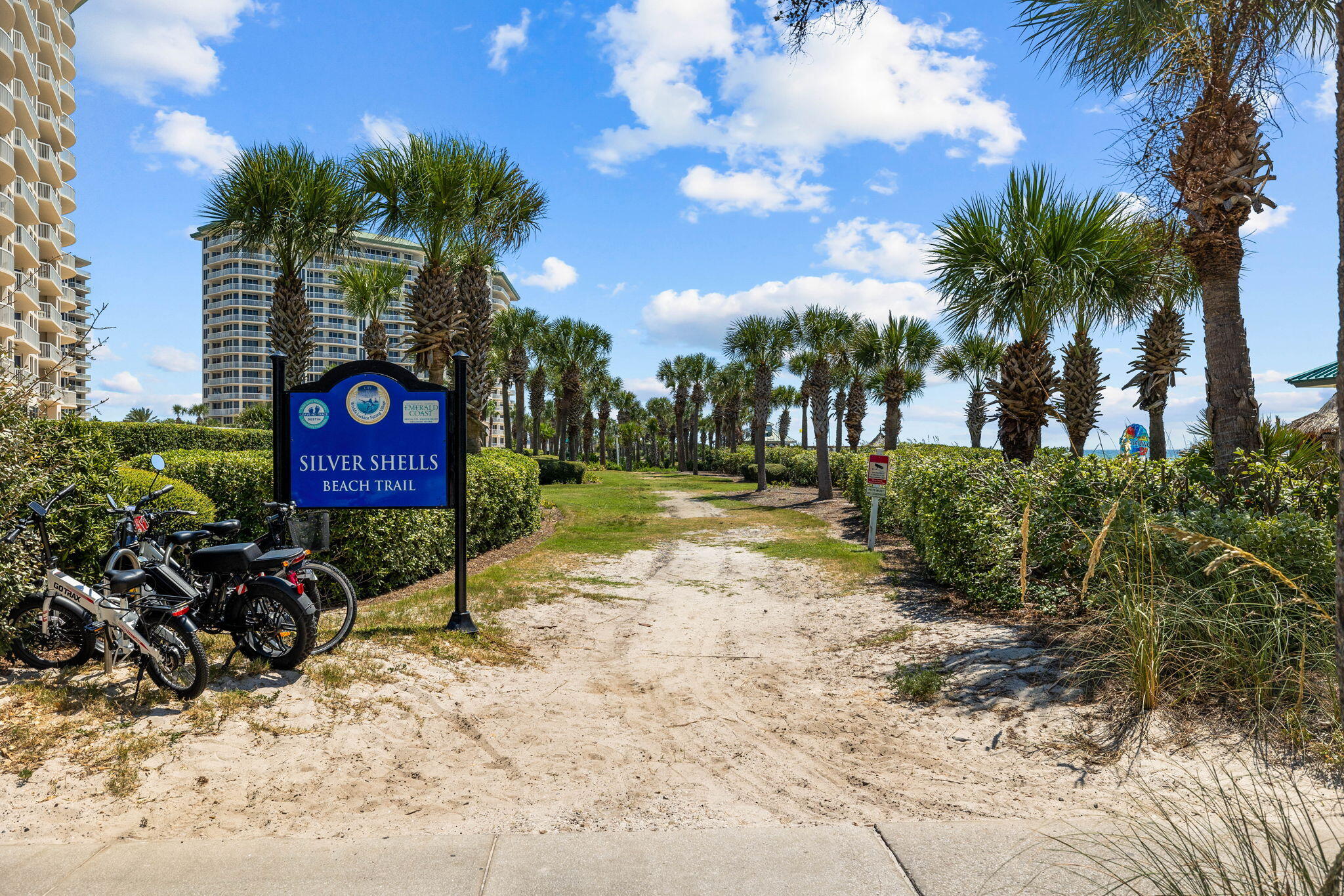 4090 Dancing Cloud, 263