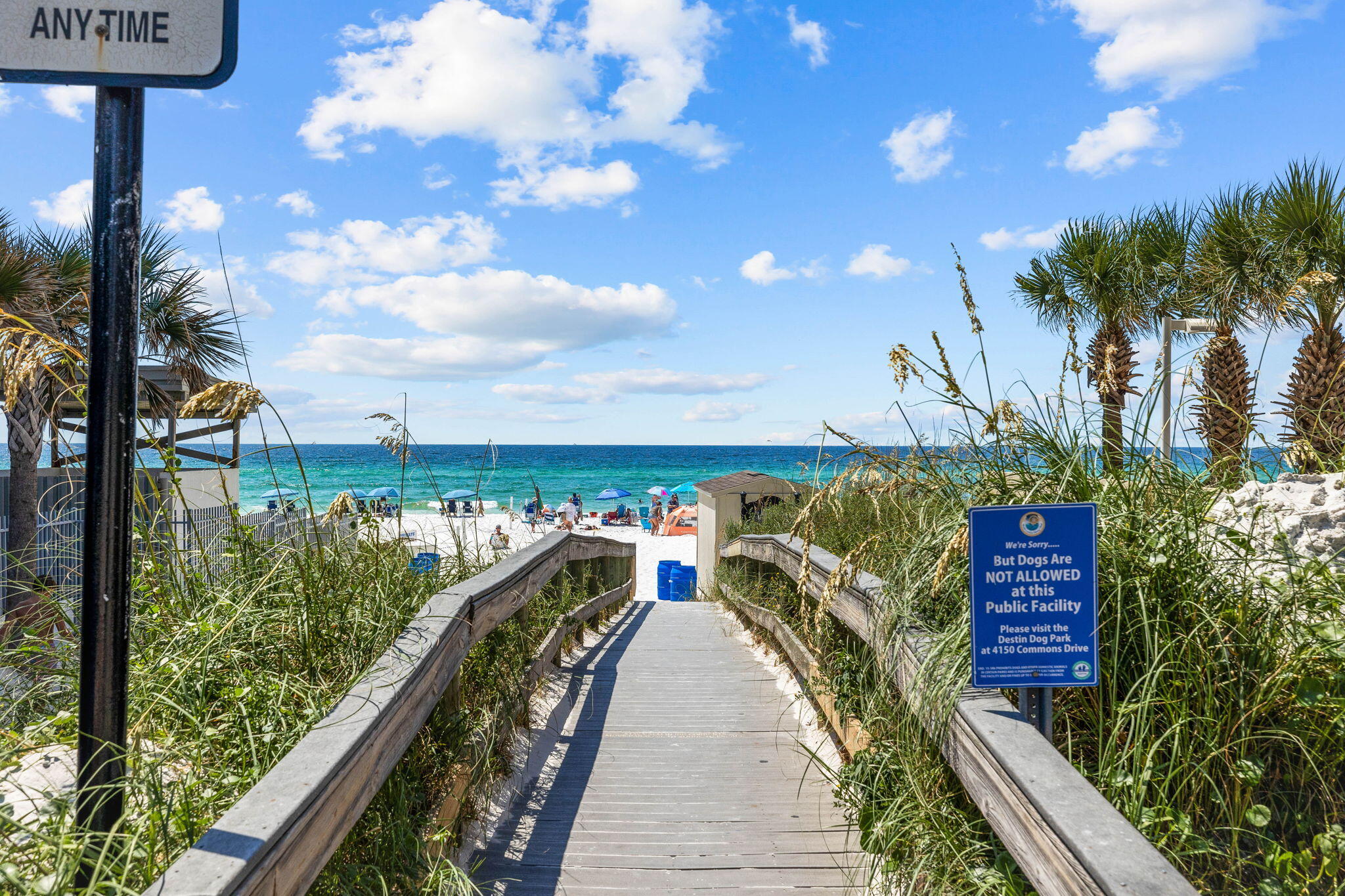 4090 Dancing Cloud, 263