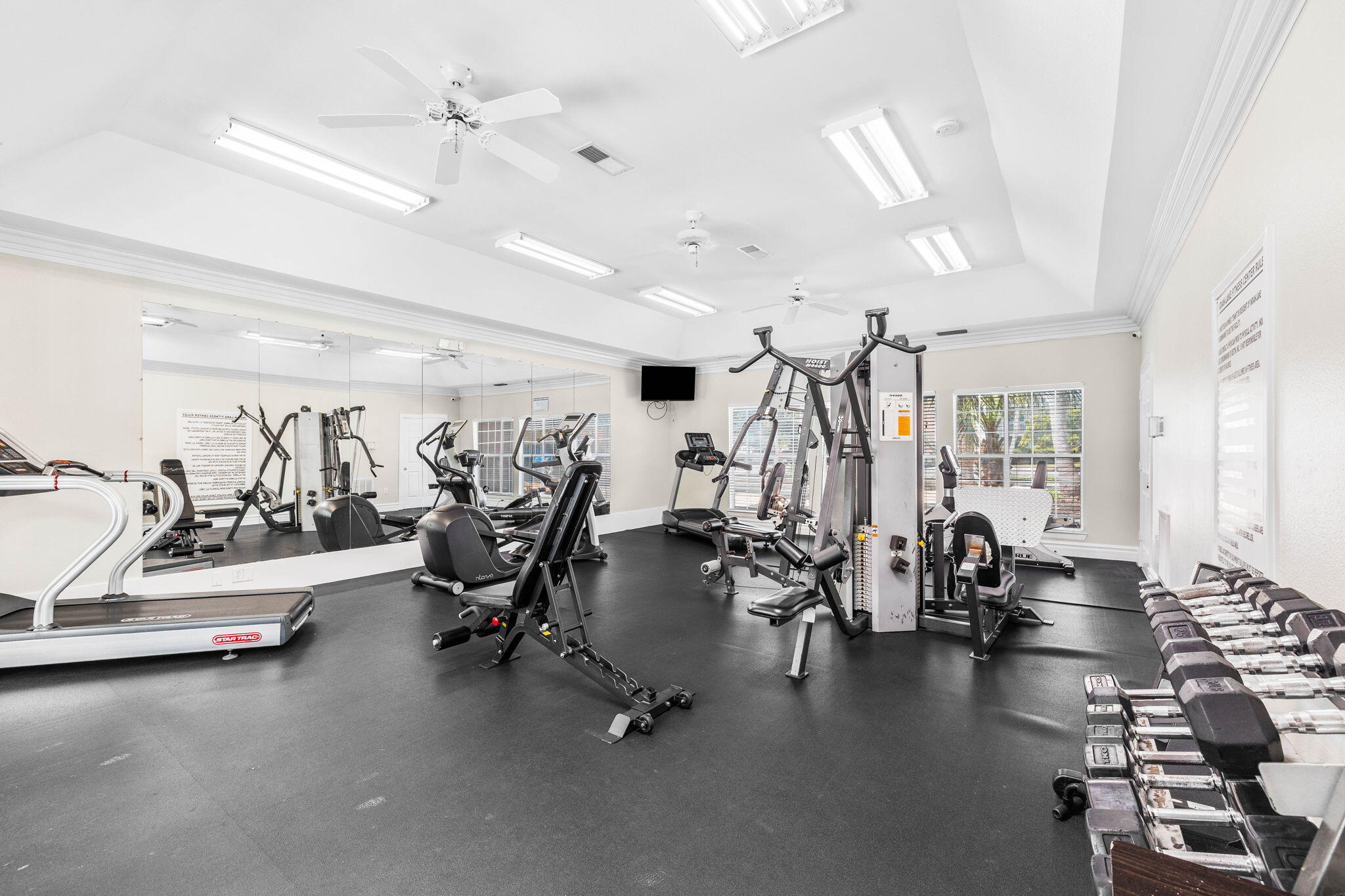 4090 Dancing Cloud, 263