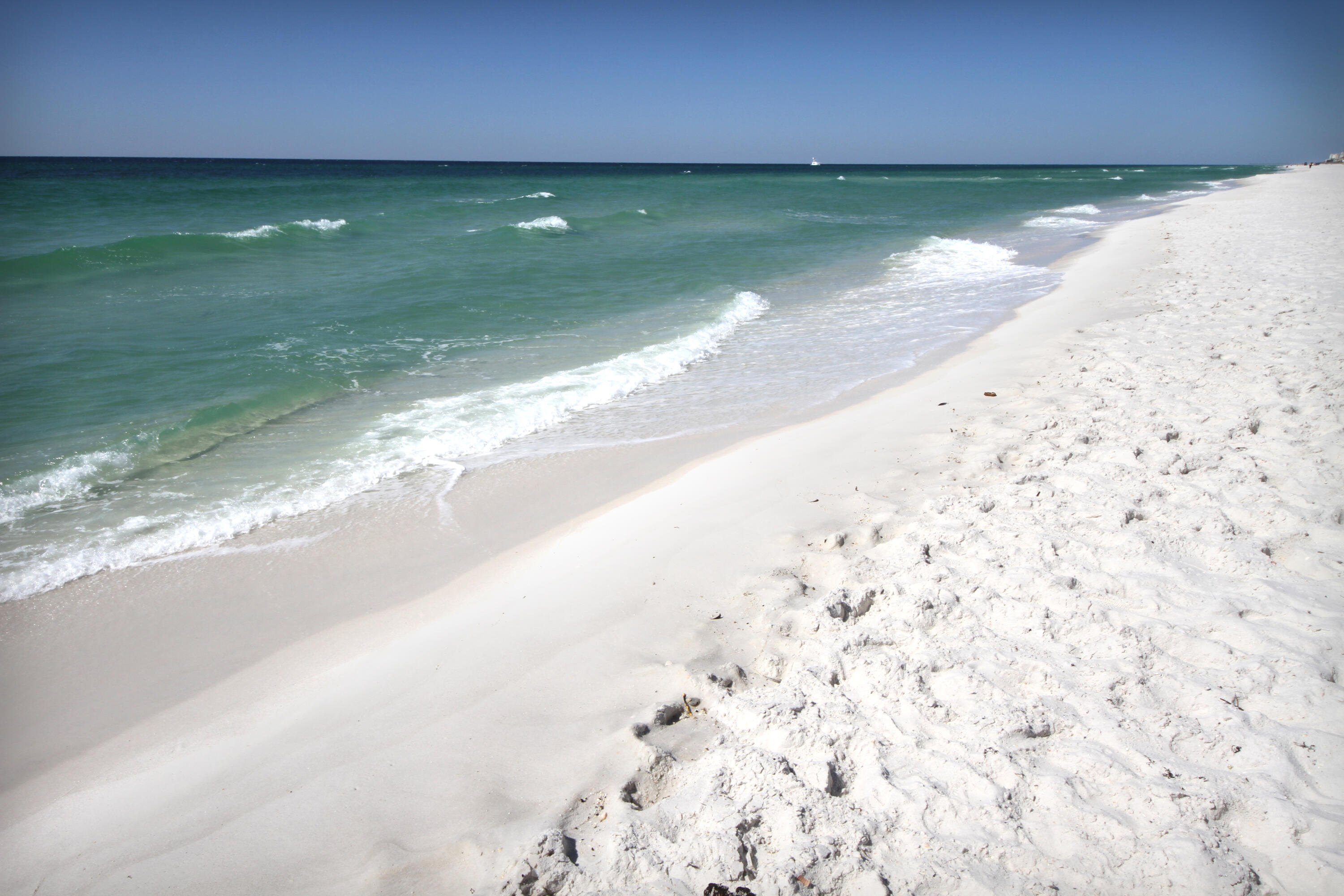 9850 S Thomas Drive, UNIT 1206E