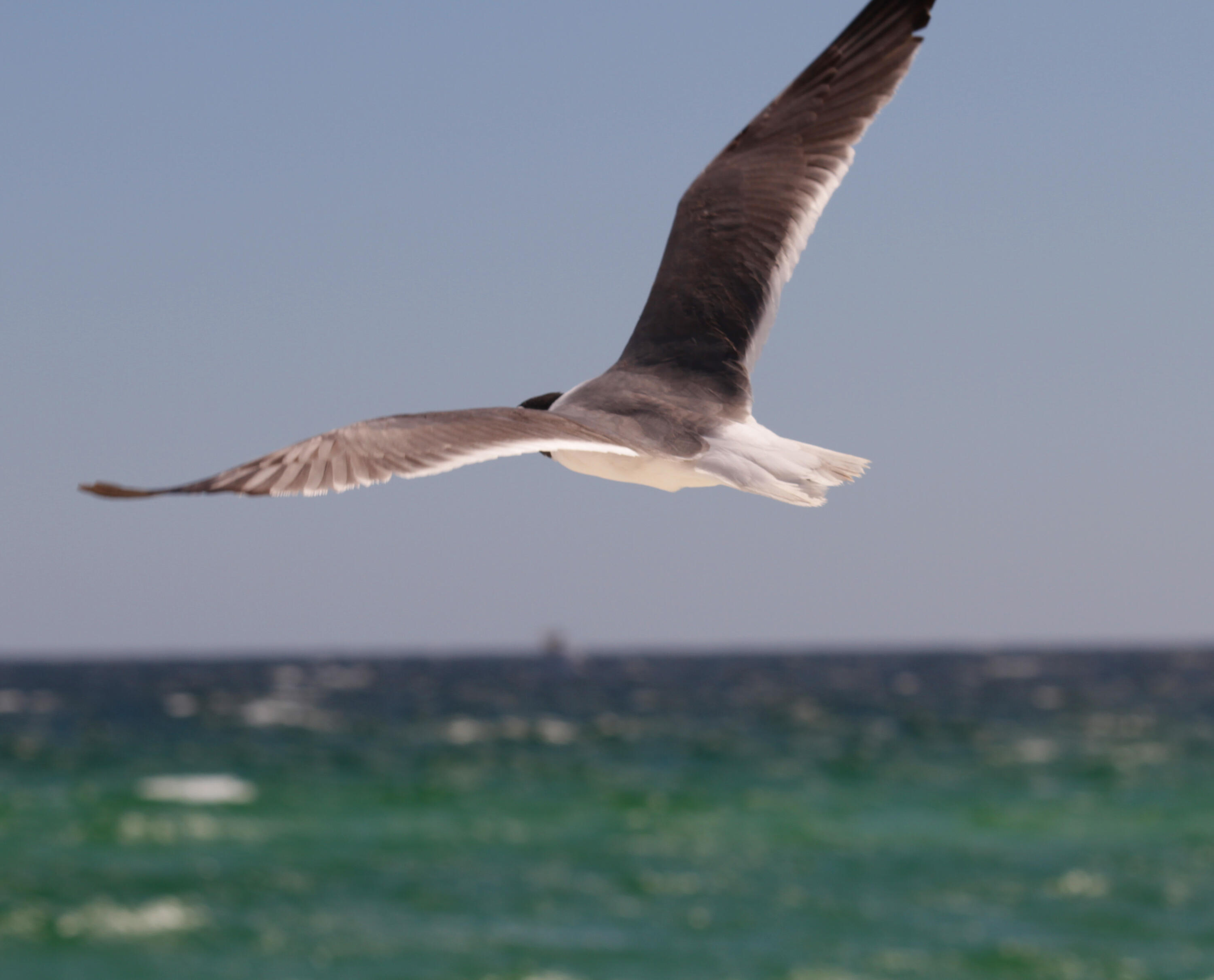 9850 S Thomas Drive, UNIT 1206E